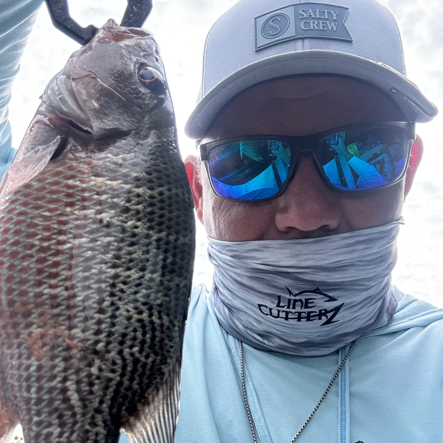 Mangrove snapper caught on Fishbrain