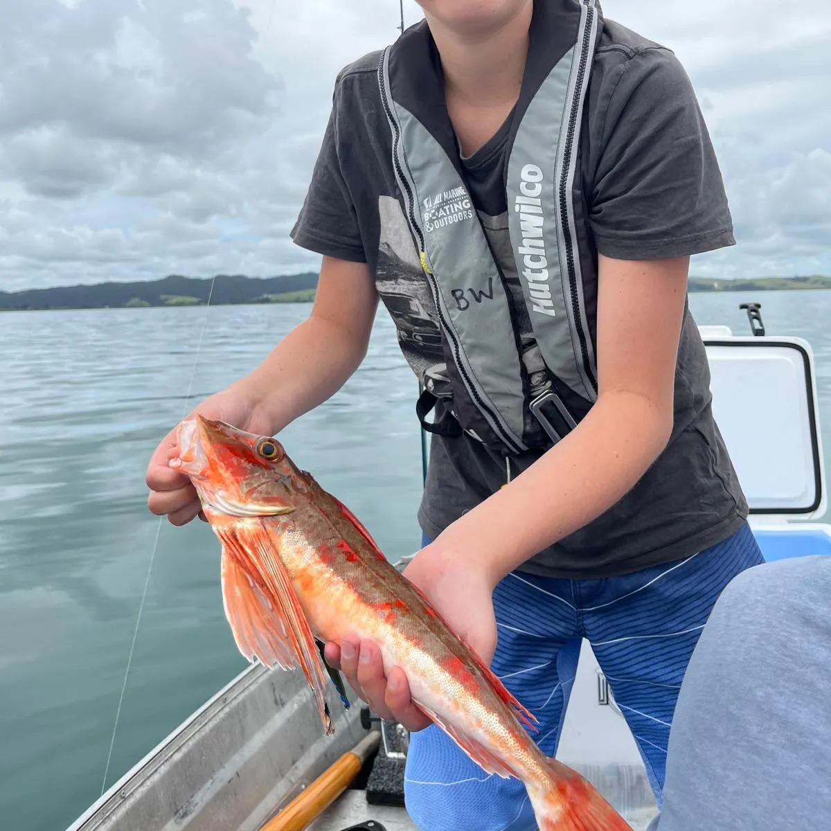 The most recent Red gurnard catches on Fishbrain