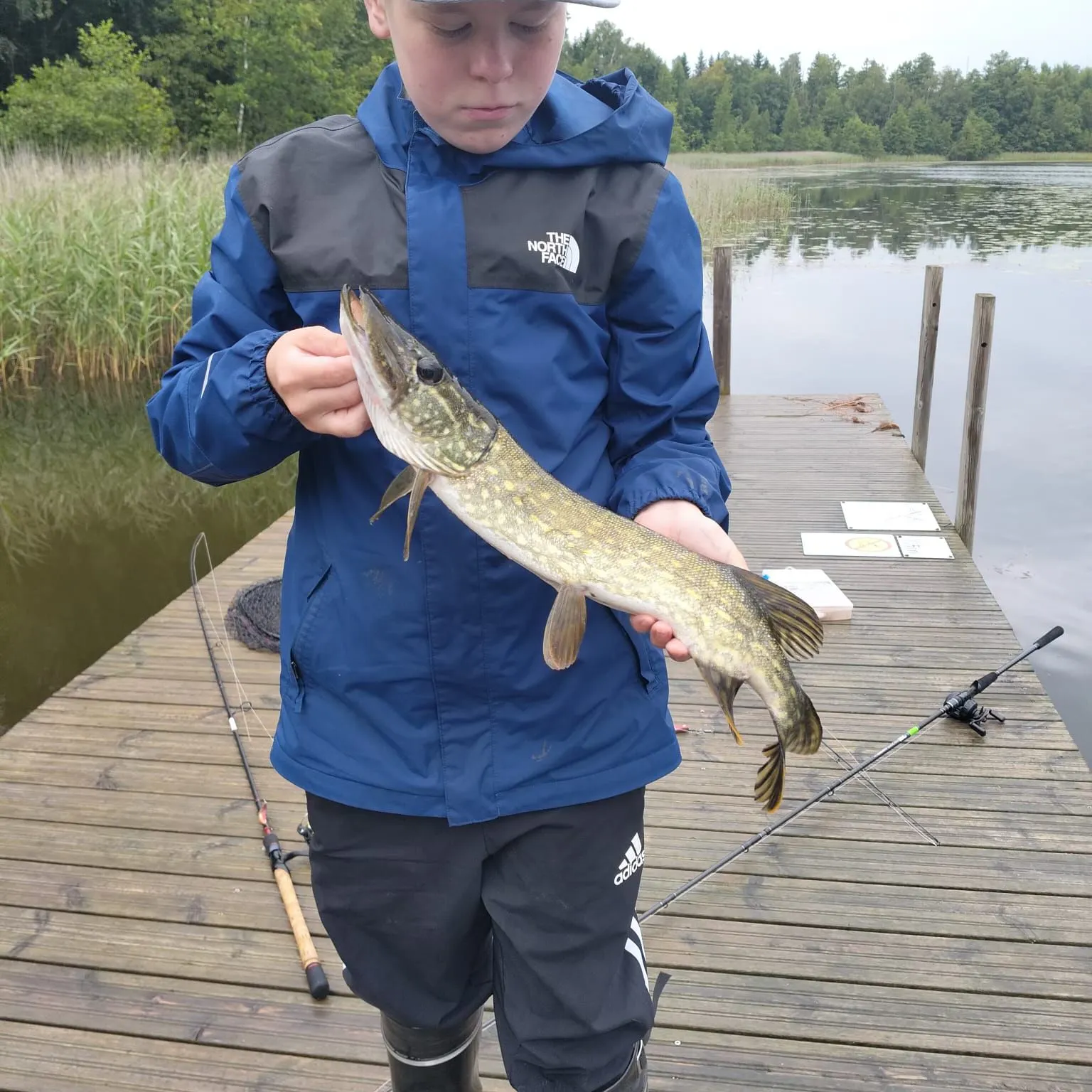 Northern pike caught on Fishbrain