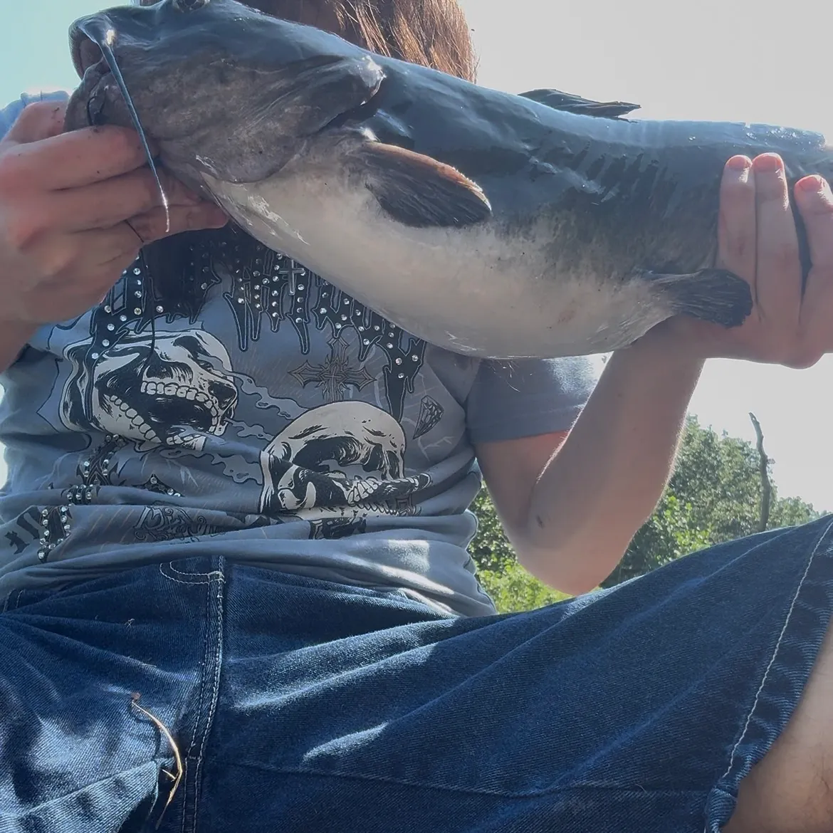 Channel catfish caught on Fishbrain