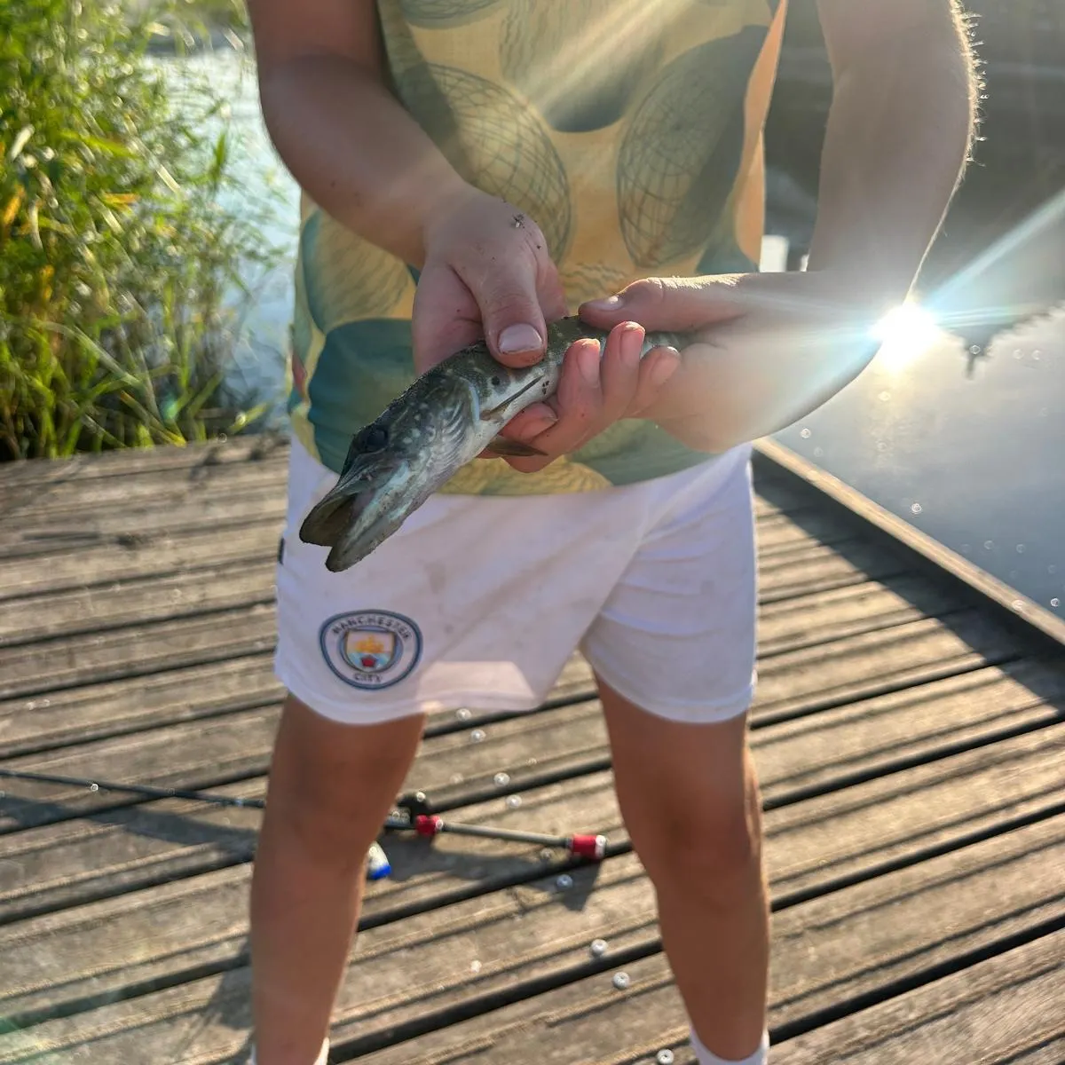Northern pike caught on Fishbrain