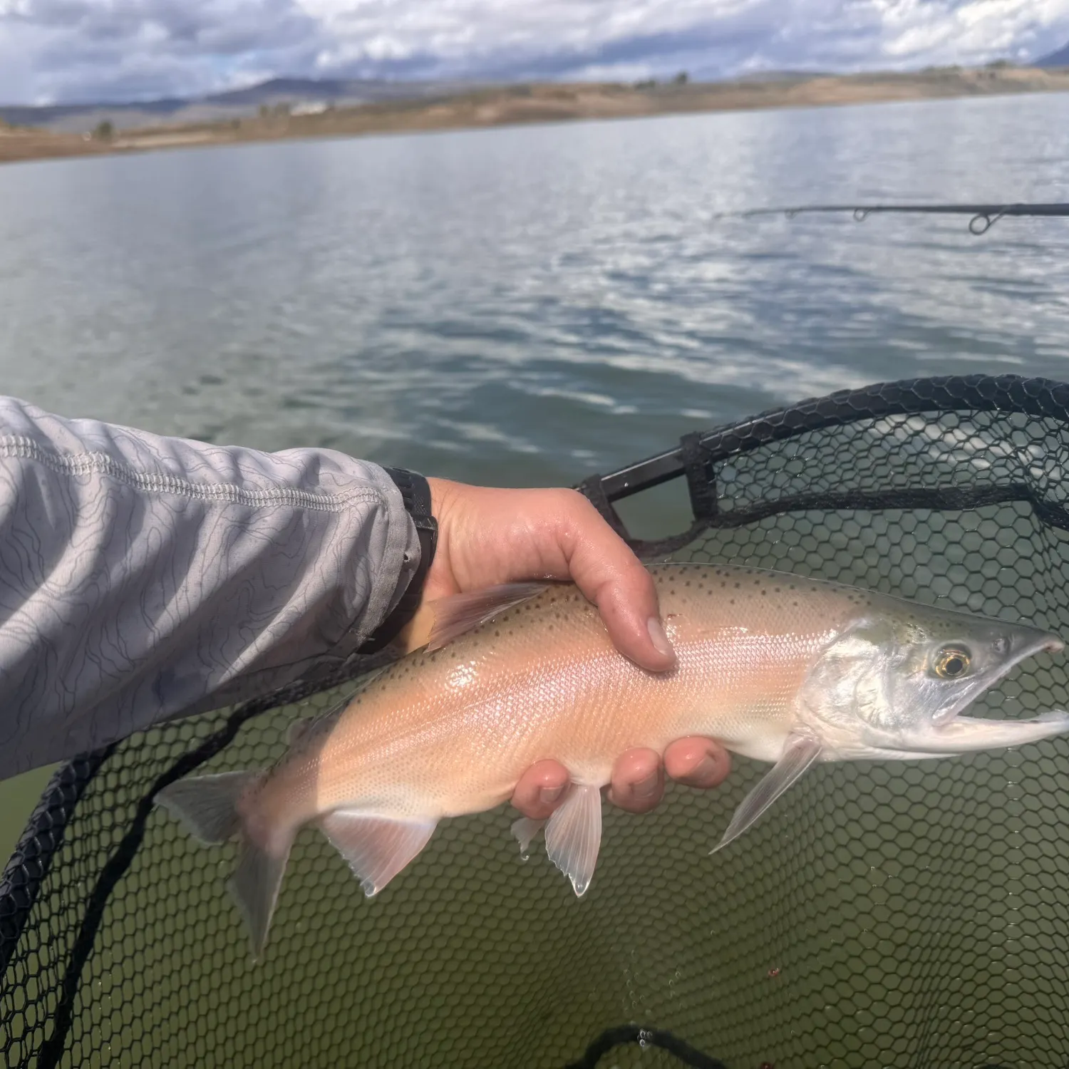Kokanee salmon caught on Fishbrain