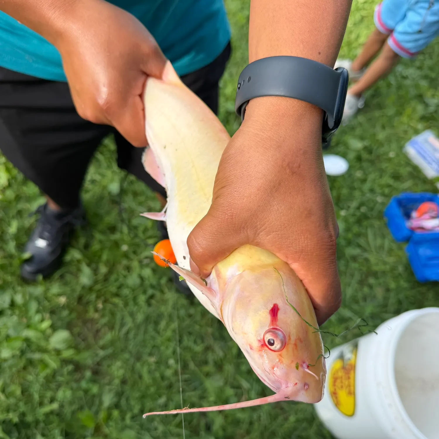 catch
