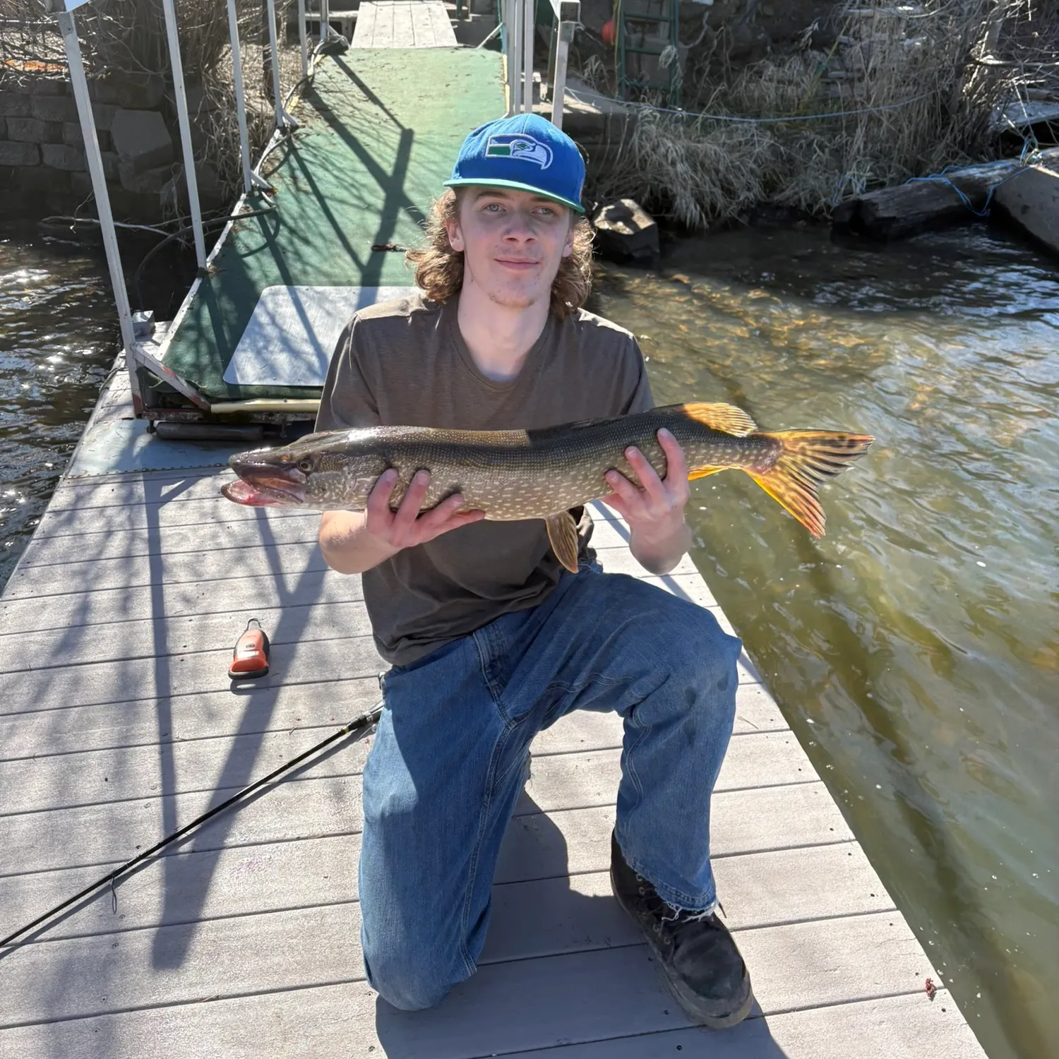 Northern pike caught on Fishbrain