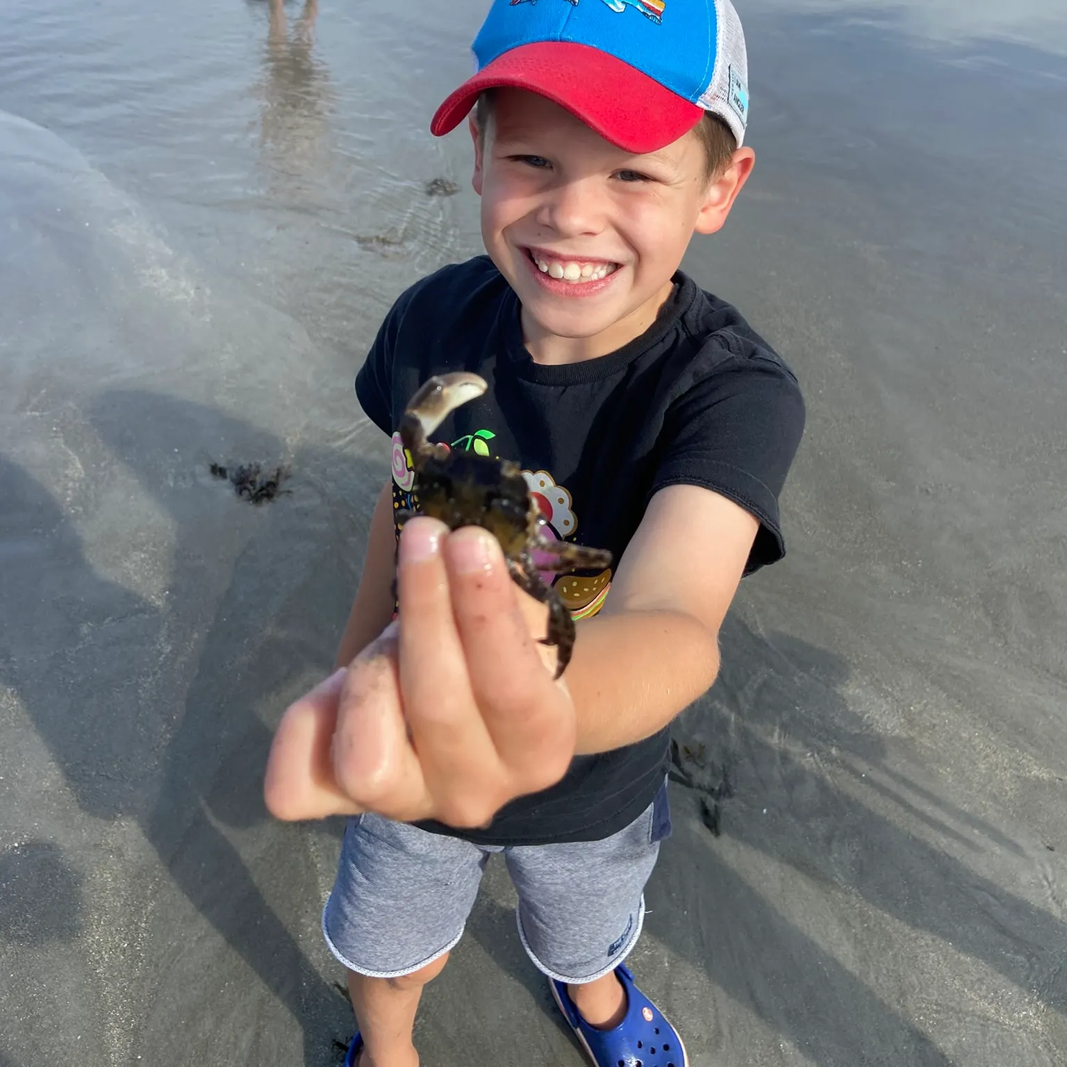 The most recent Green crab catches on Fishbrain