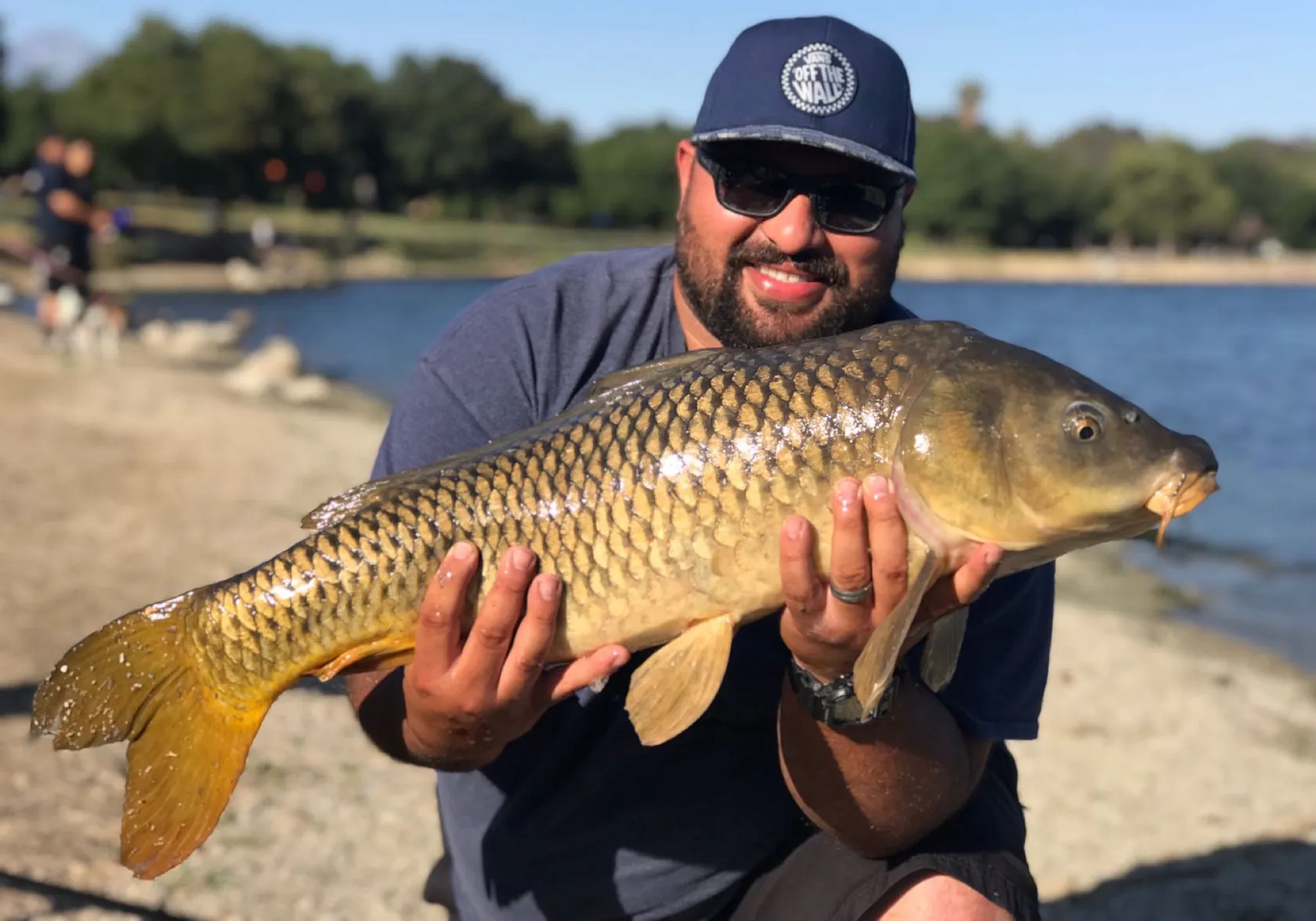 Common carp