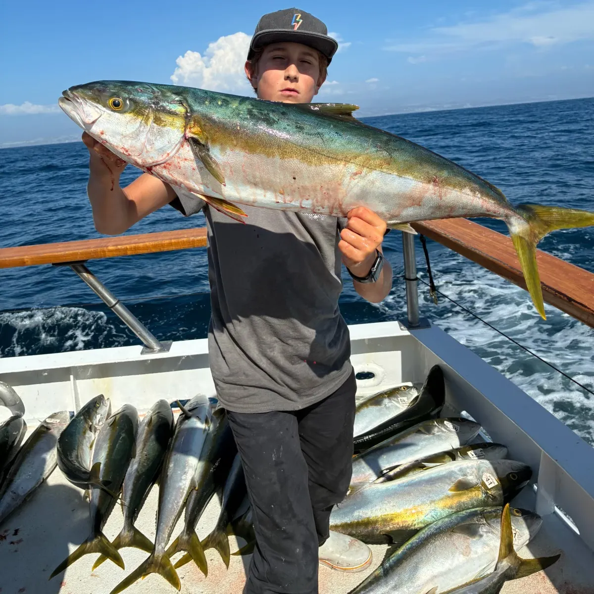 The most recent California yellowtail amberjack catches on Fishbrain