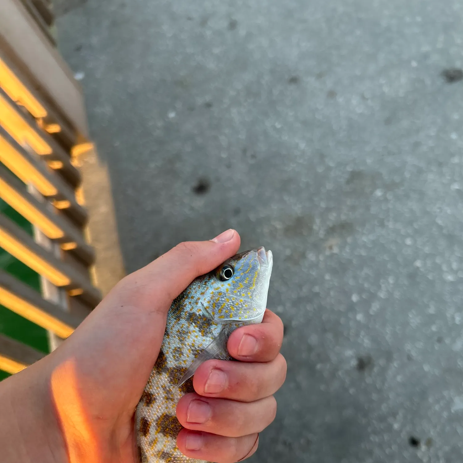 catch