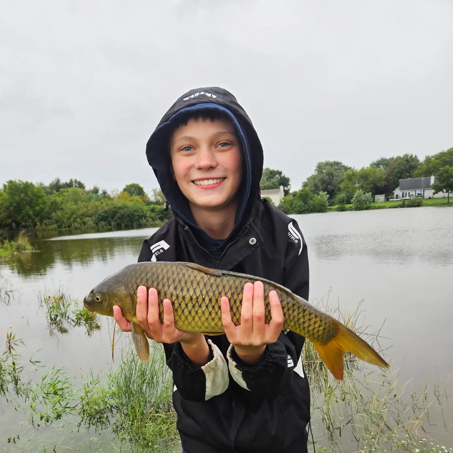 Common carp caught on Fishbrain