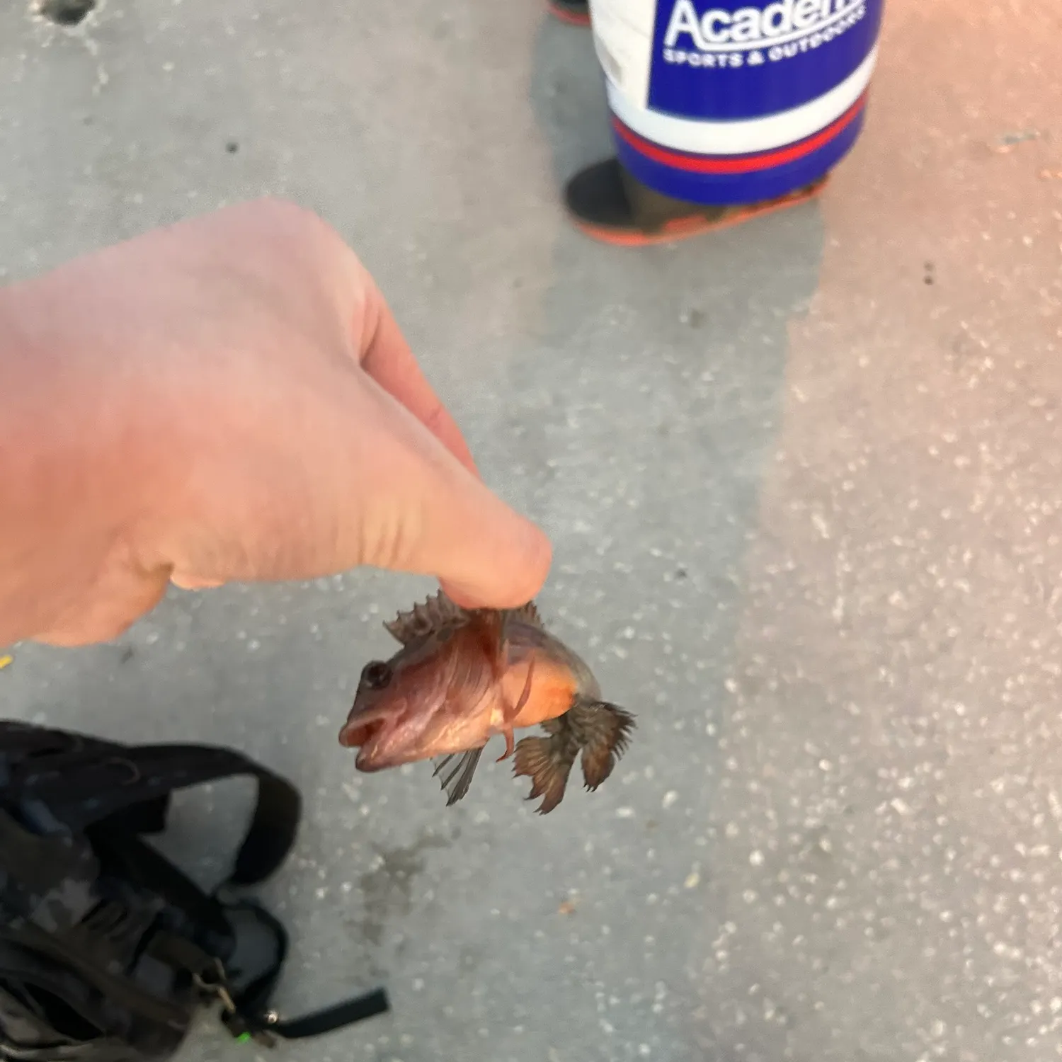 catch