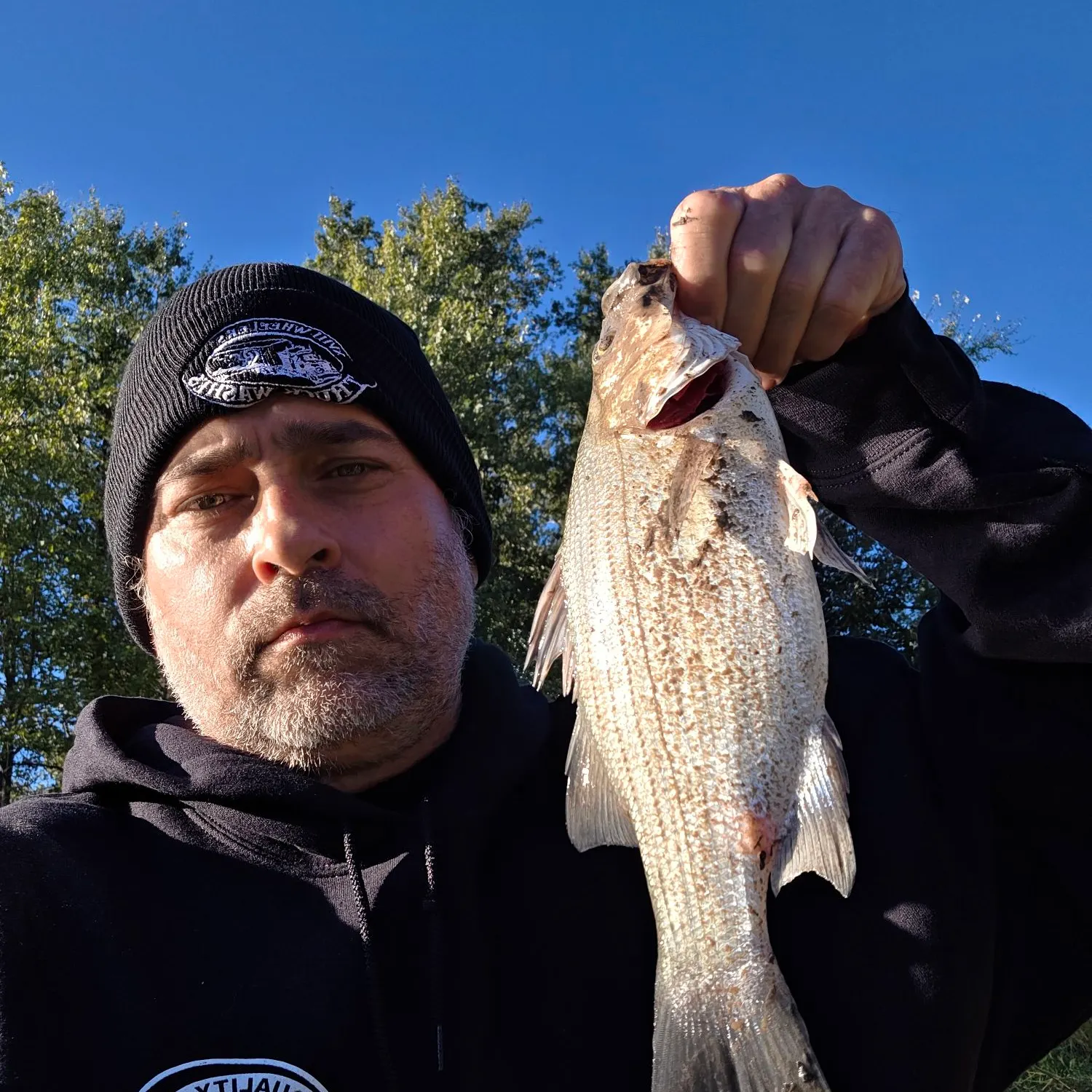 Striped bass caught on Fishbrain
