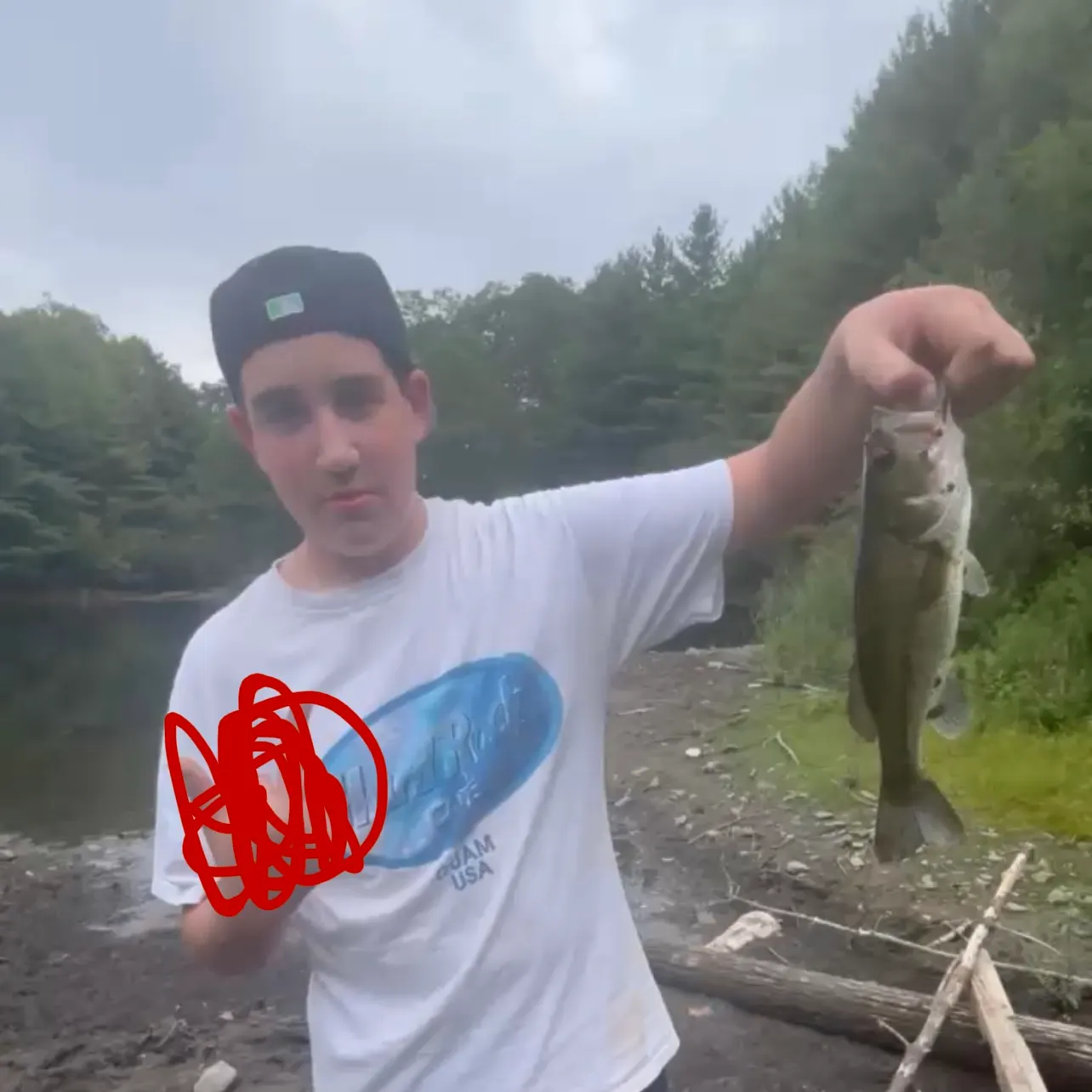 Largemouth bass caught on Fishbrain