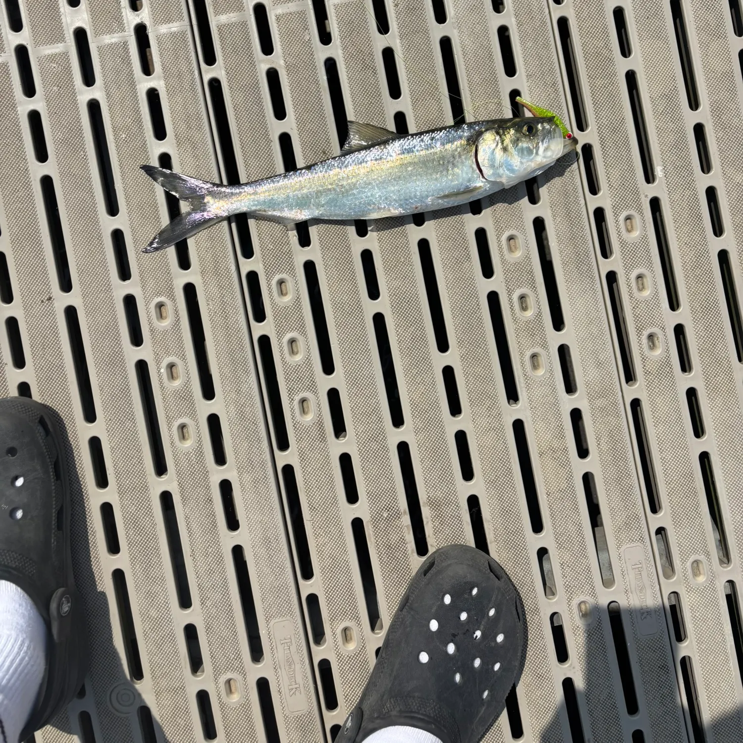 most liked catch image