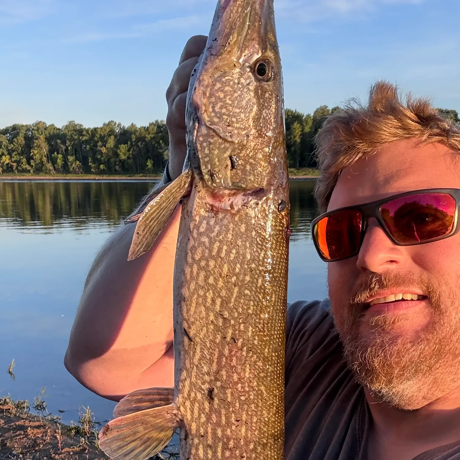 Northern pike caught on Fishbrain