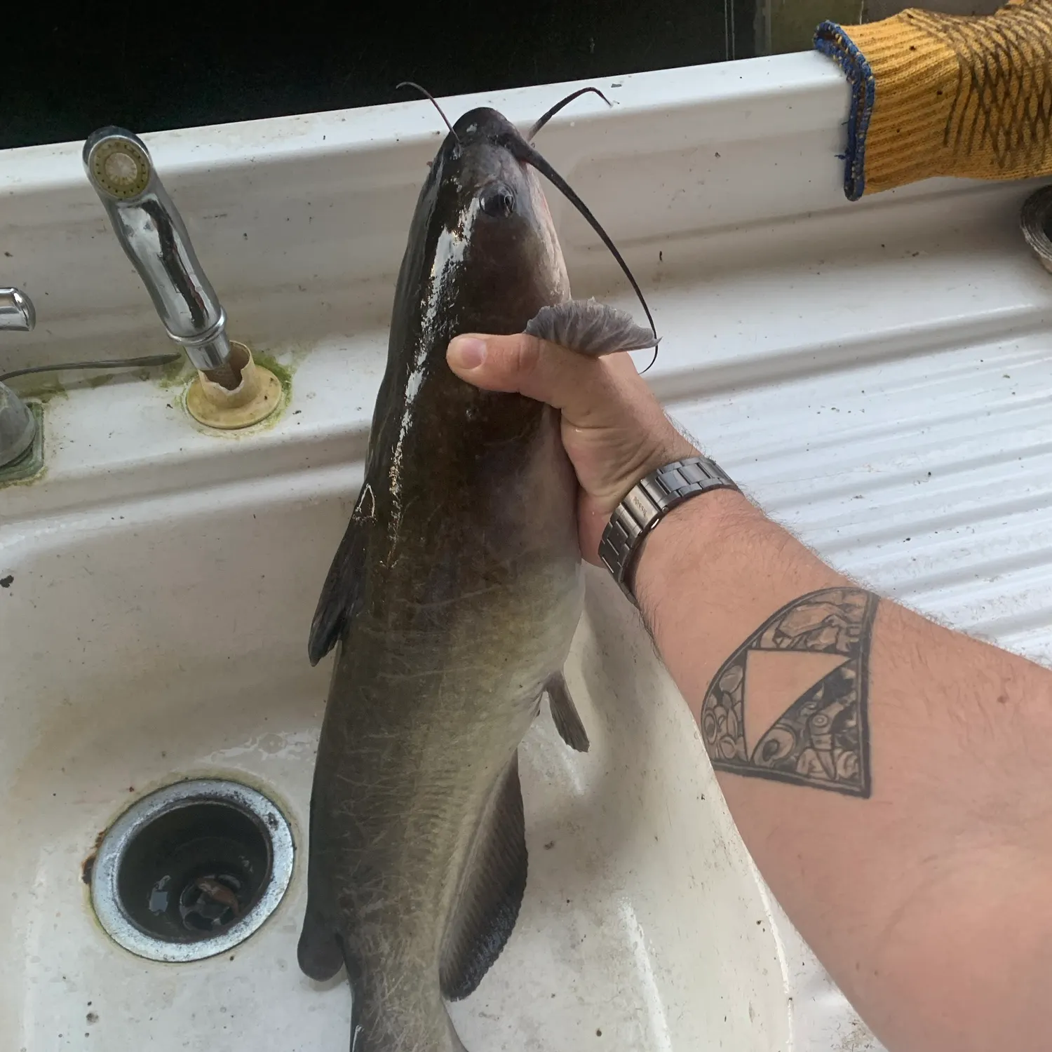 catch