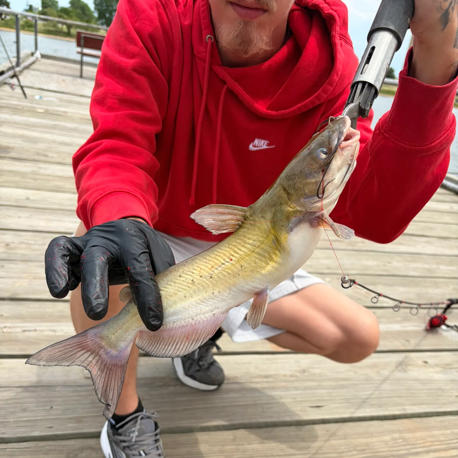catch