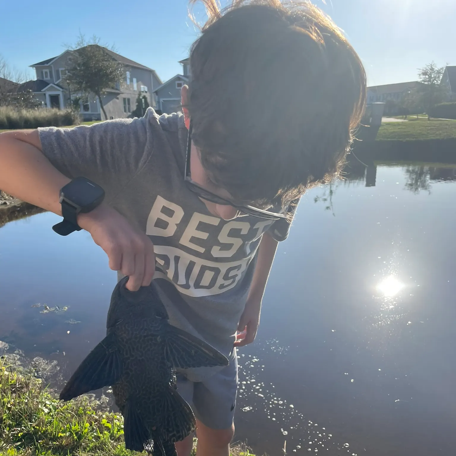 The most recent Suckermouth catfish catches on Fishbrain