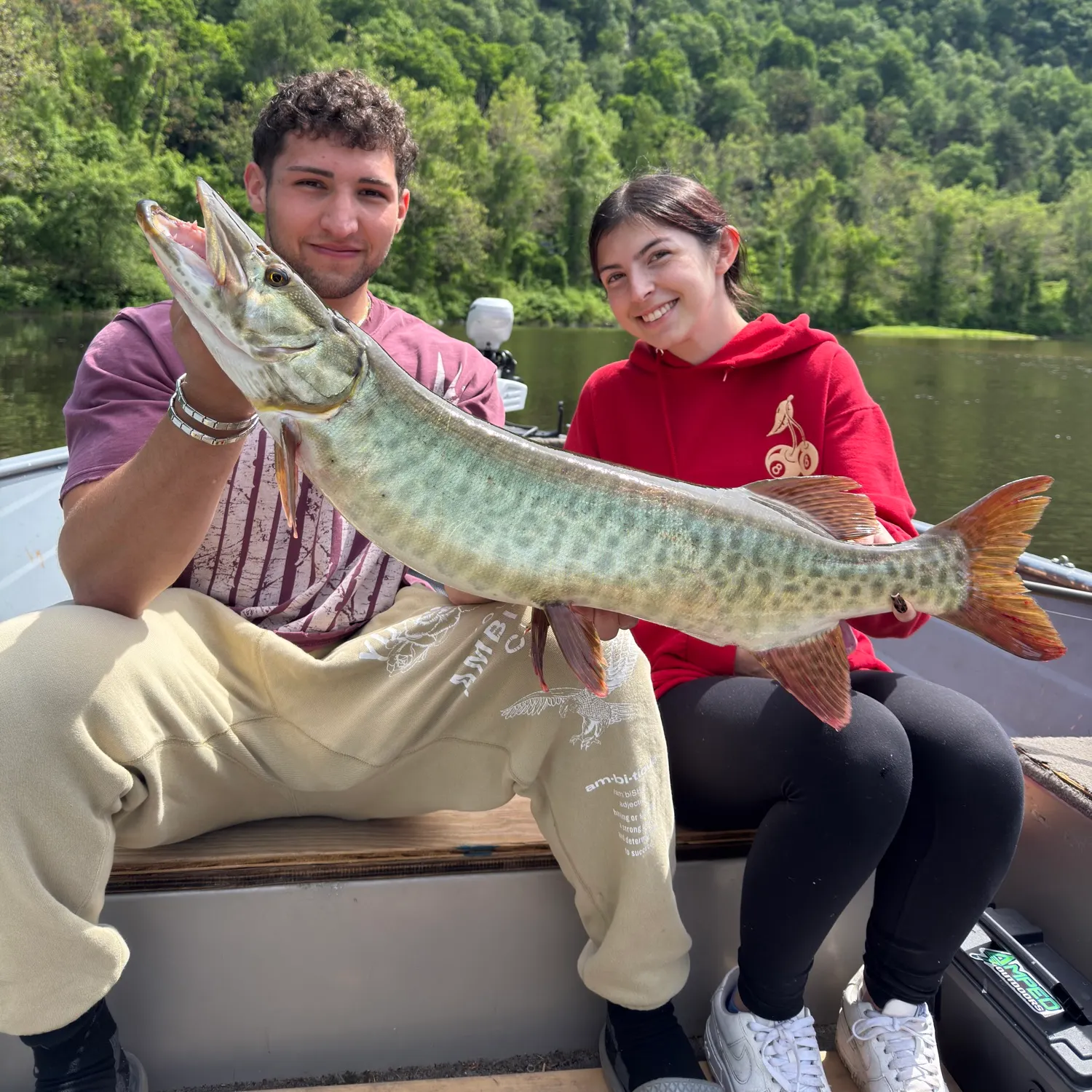 The most recent Muskellunge catches on Fishbrain