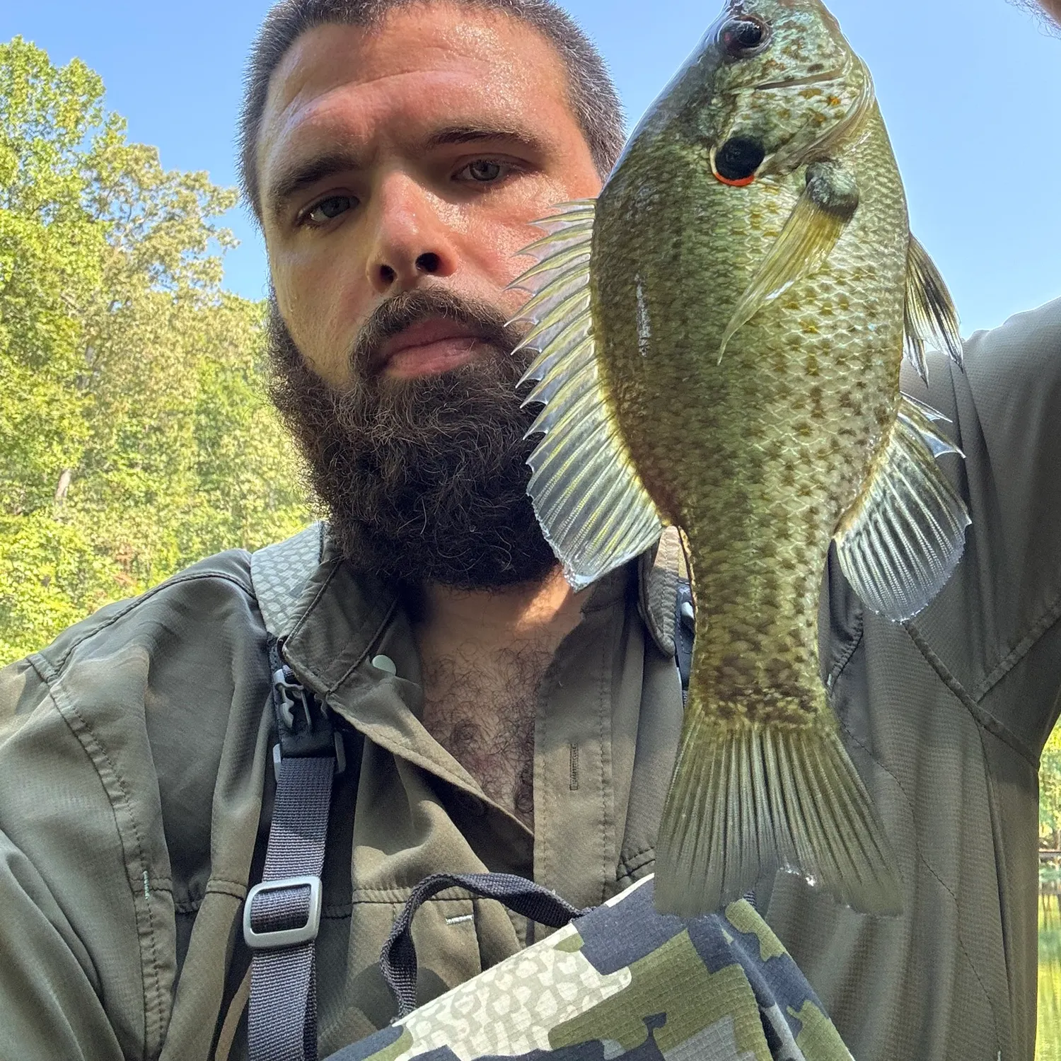Redear sunfish caught on Fishbrain