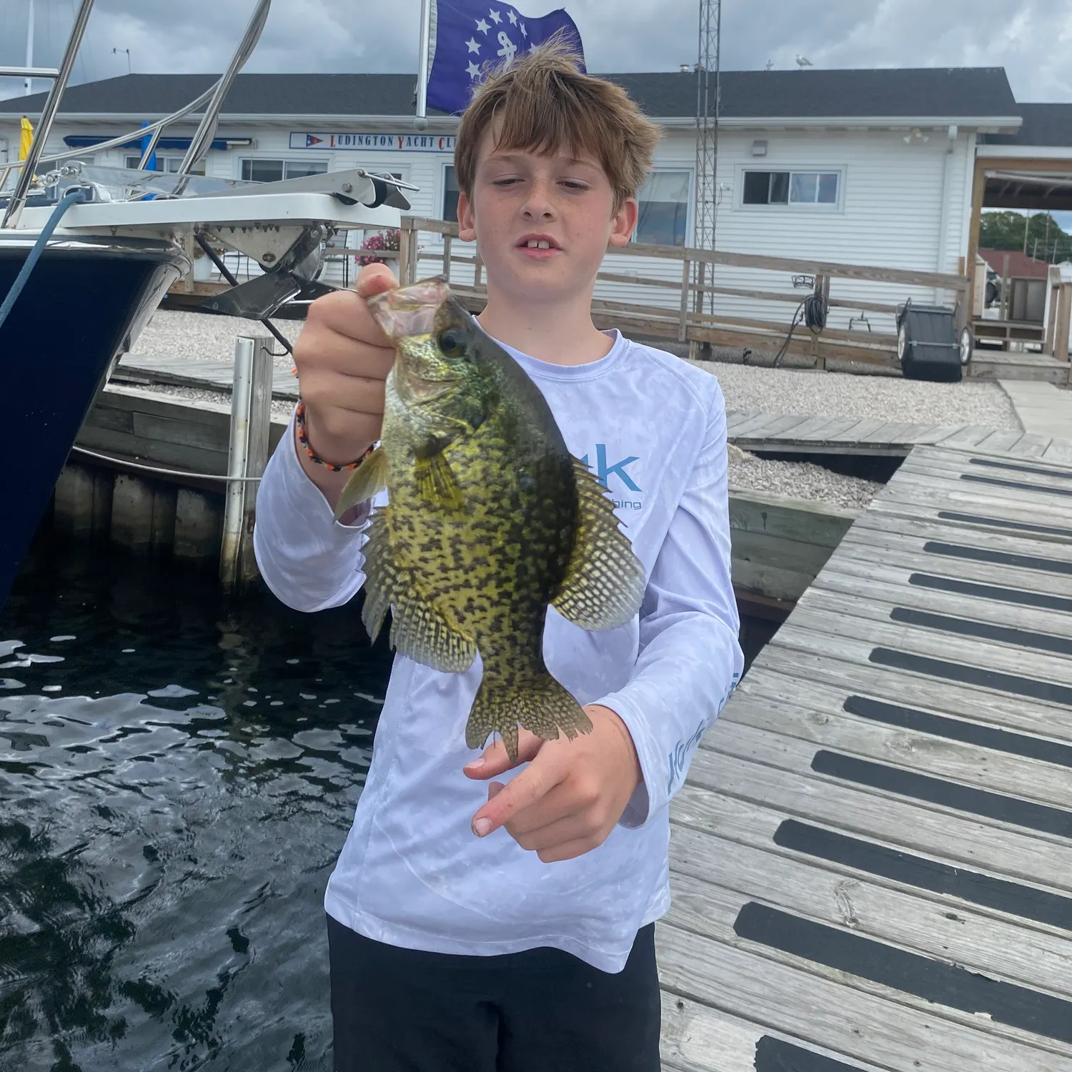 Black crappie caught on Fishbrain