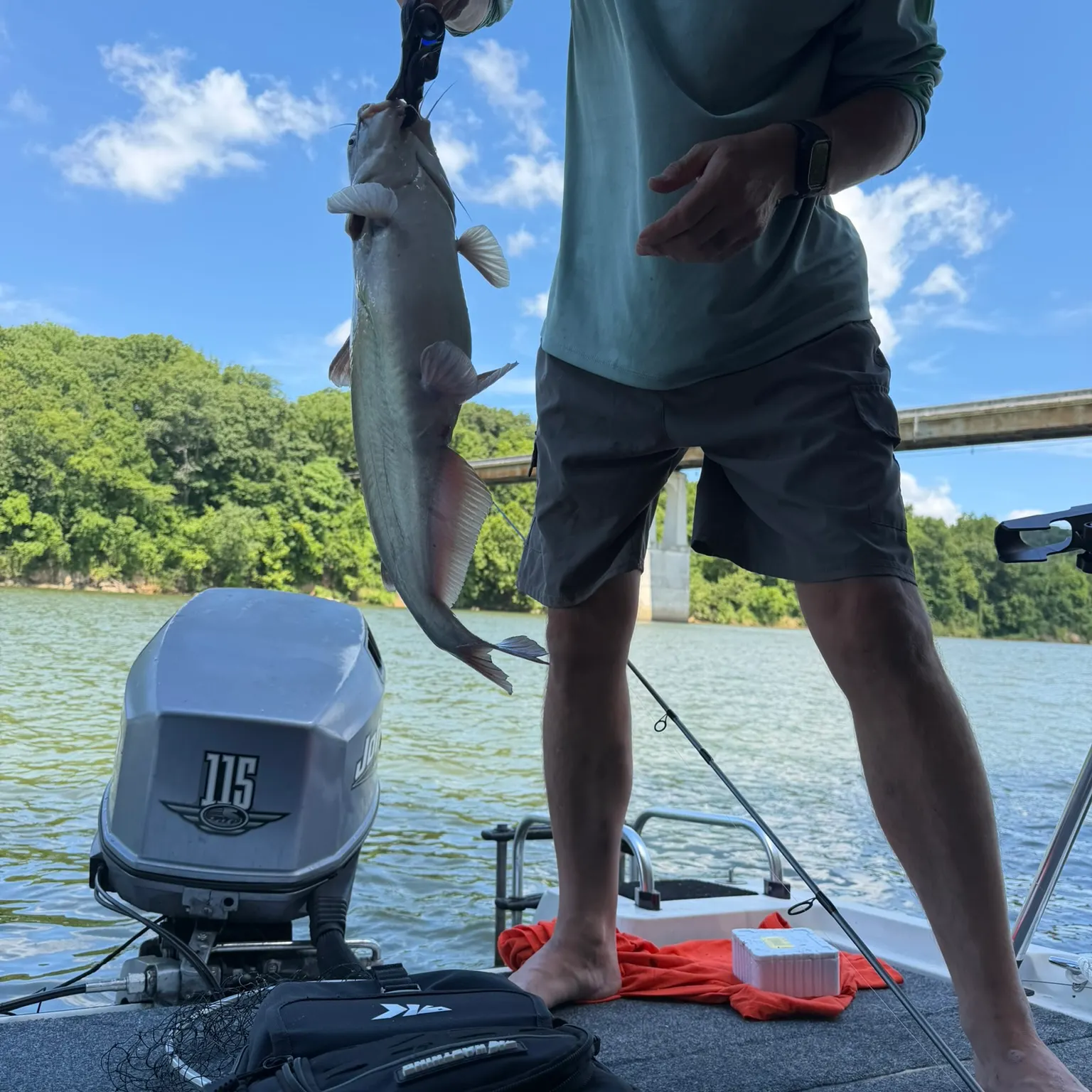 catch