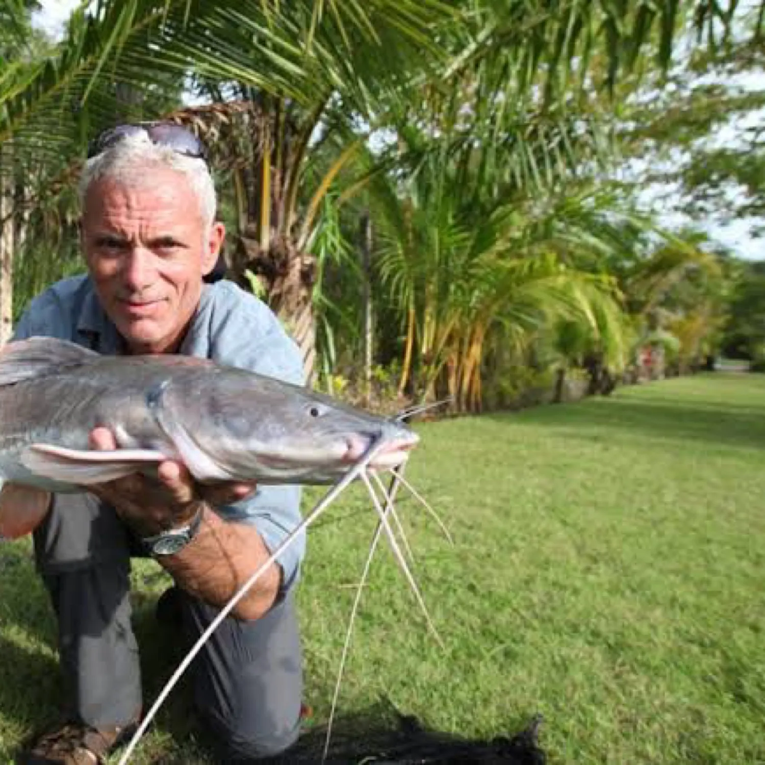 The most popular recent Blue salmon catfish catch on Fishbrain