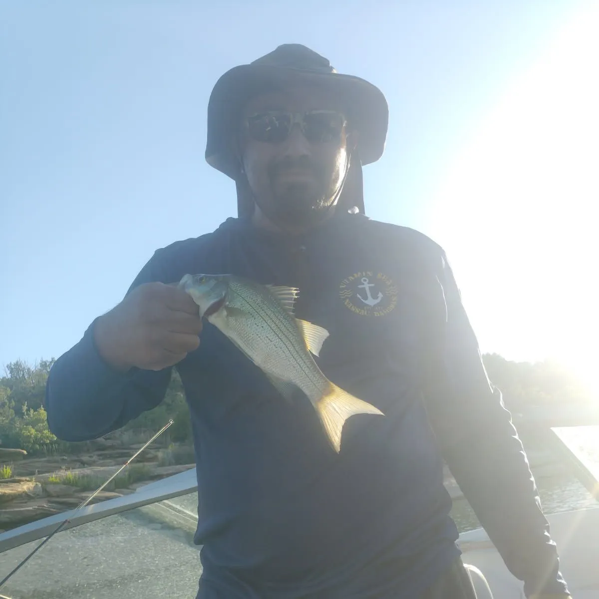 White bass caught on Fishbrain