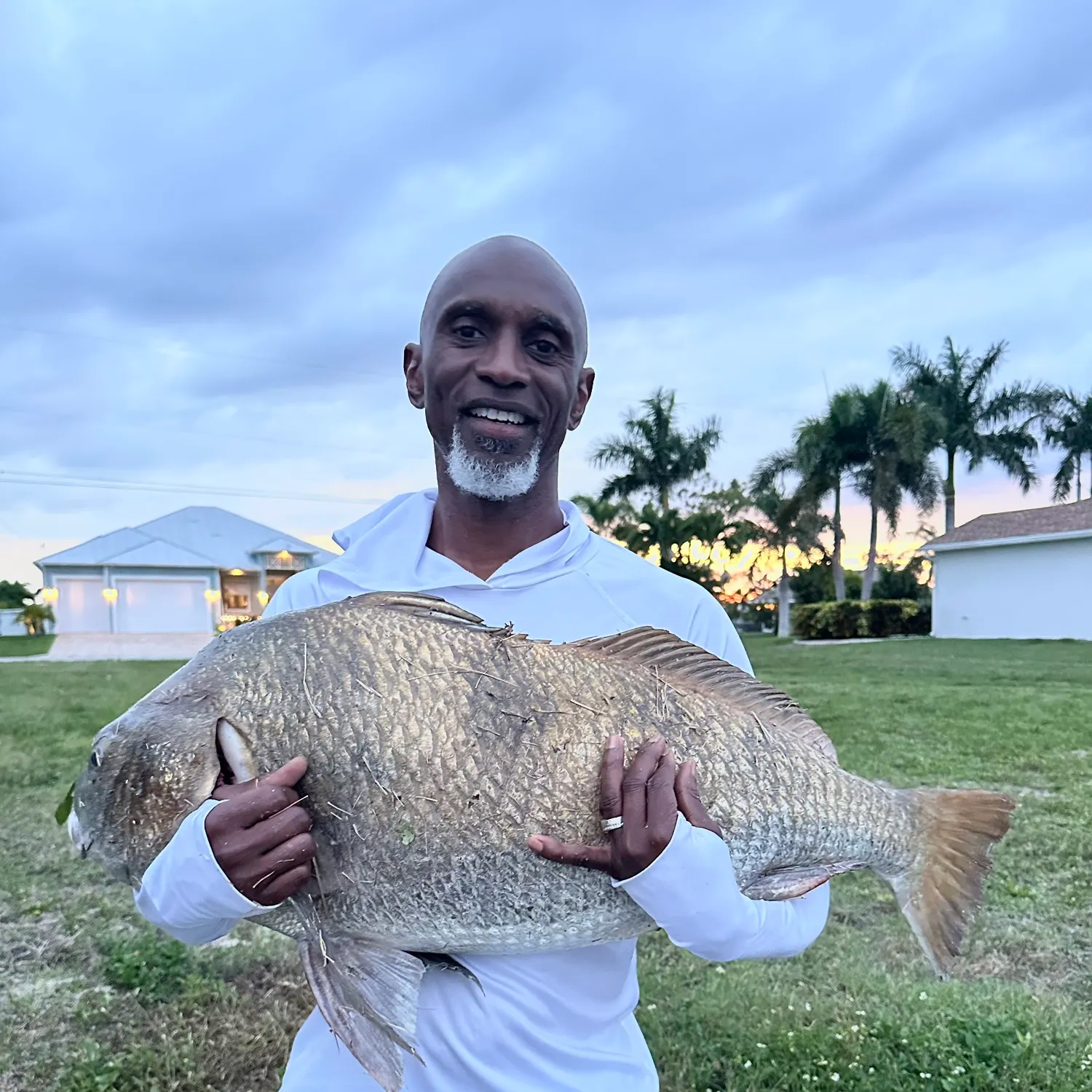 The most recent Black drum catches on Fishbrain
