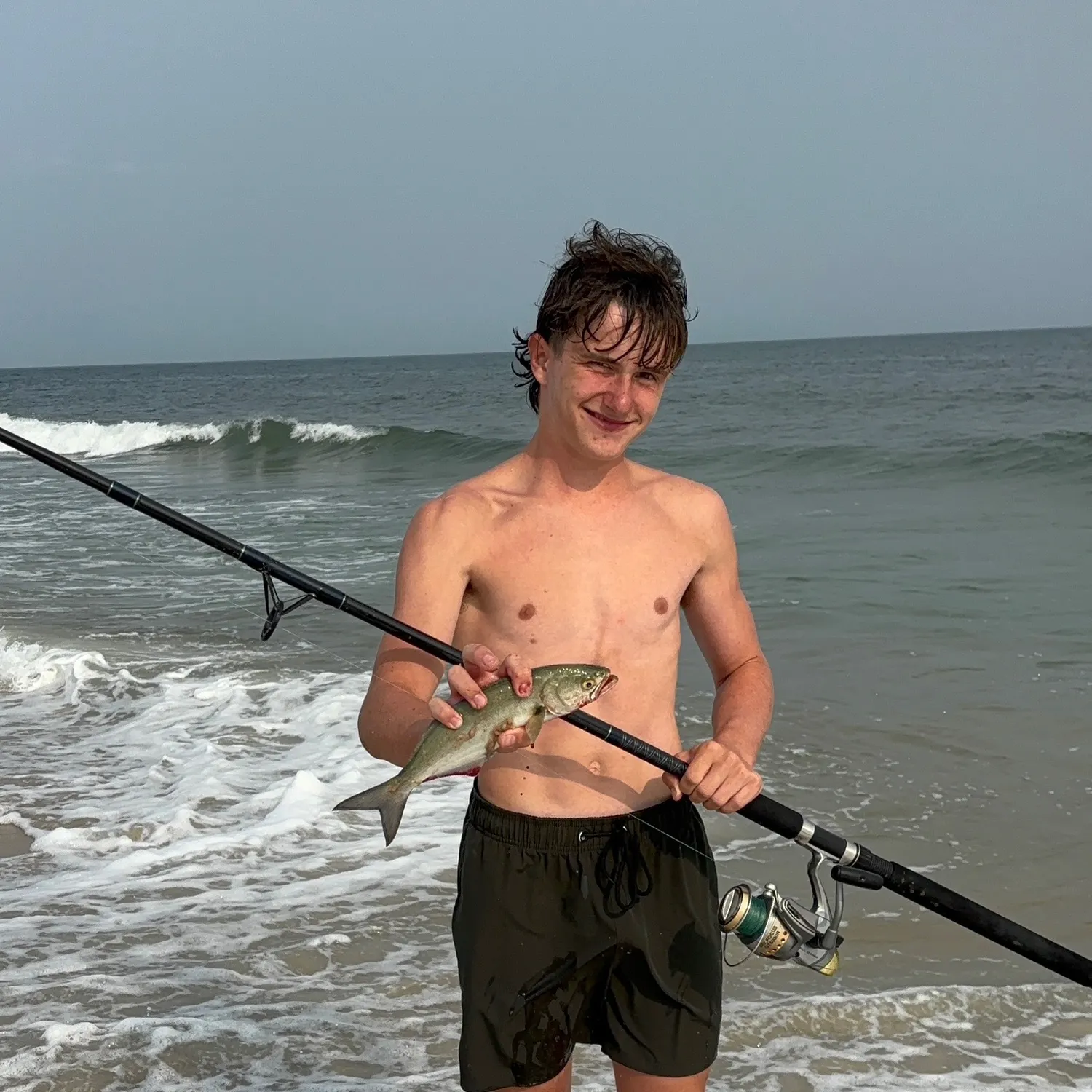 Bluefish caught on Fishbrain