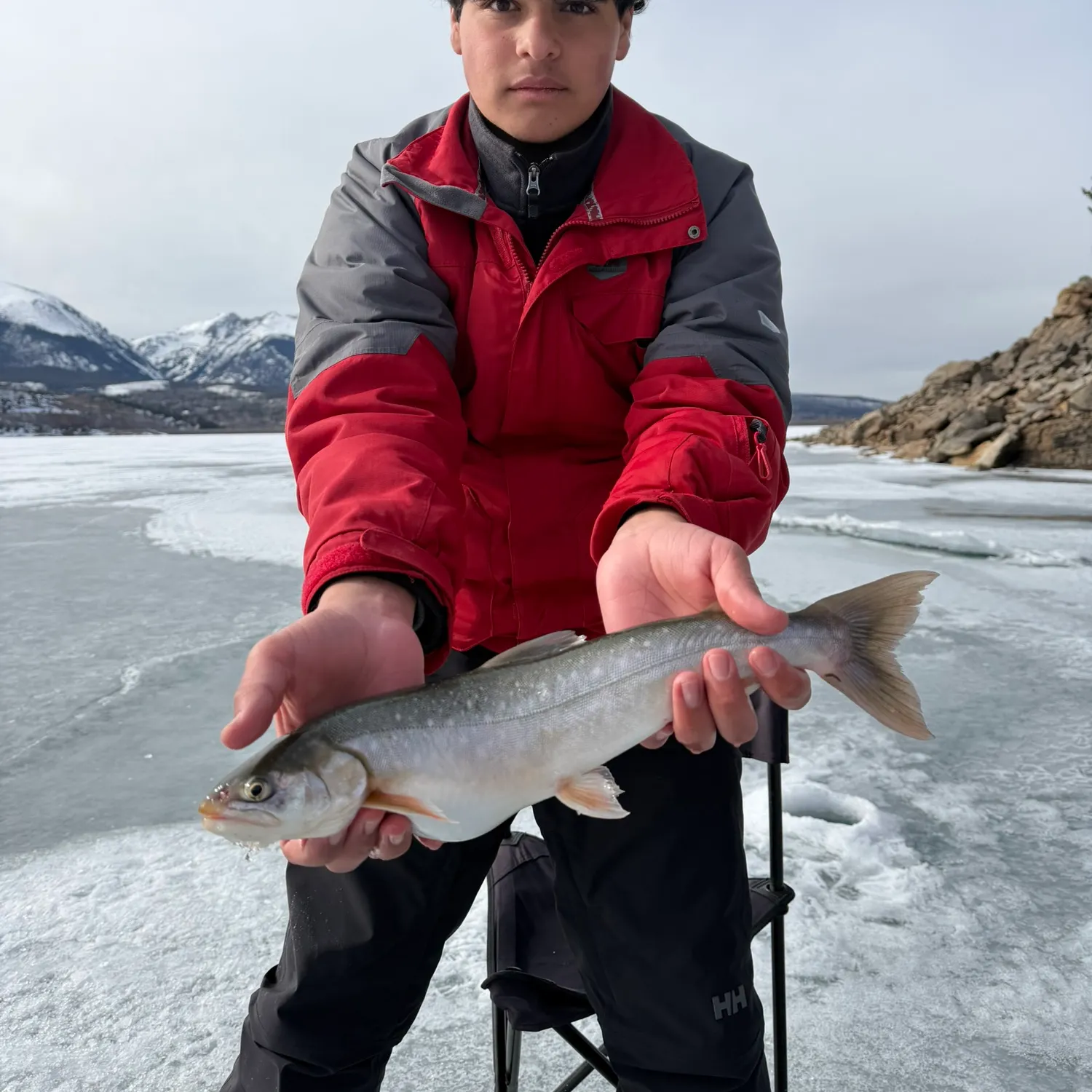The most recent Arctic char catches on Fishbrain