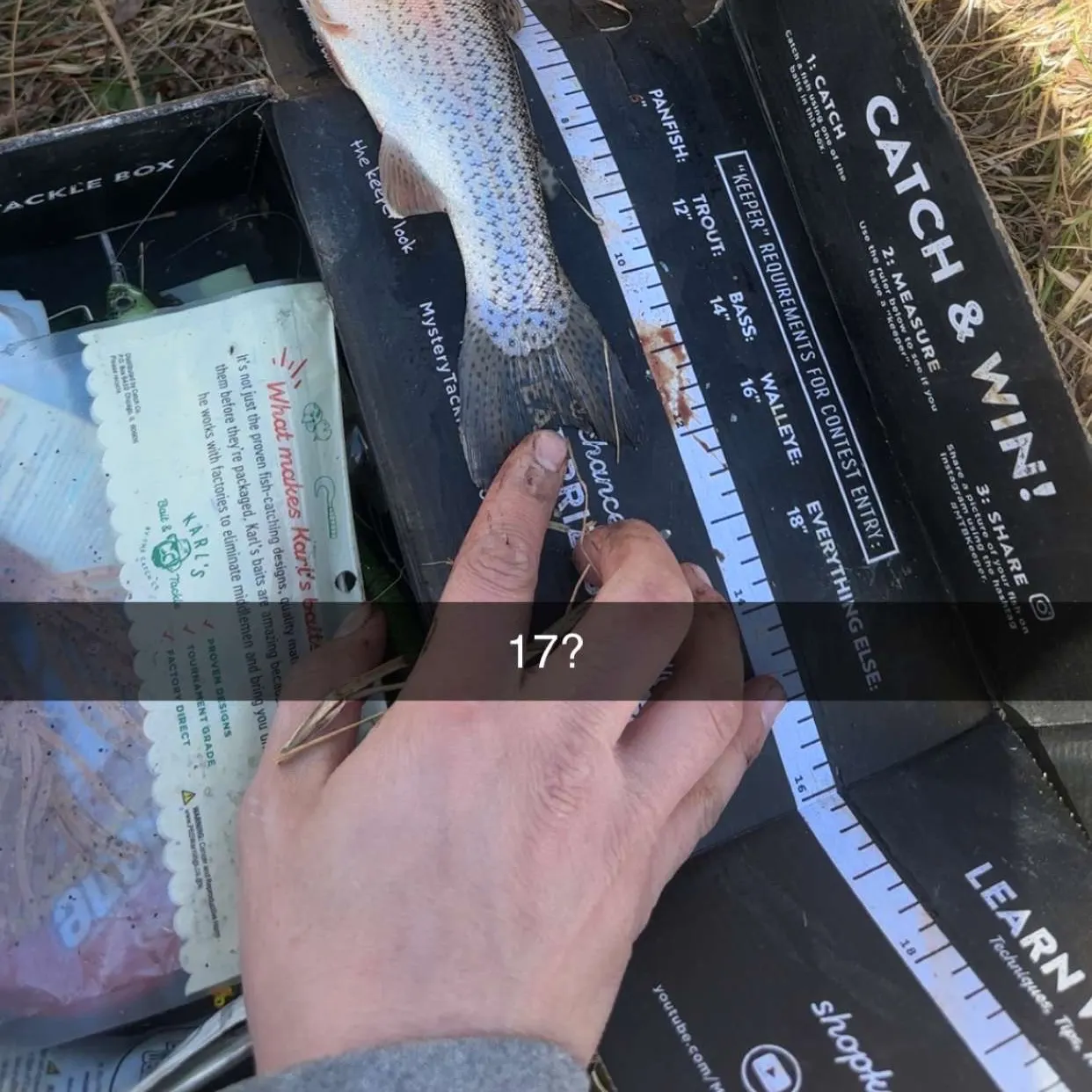 recently logged catches