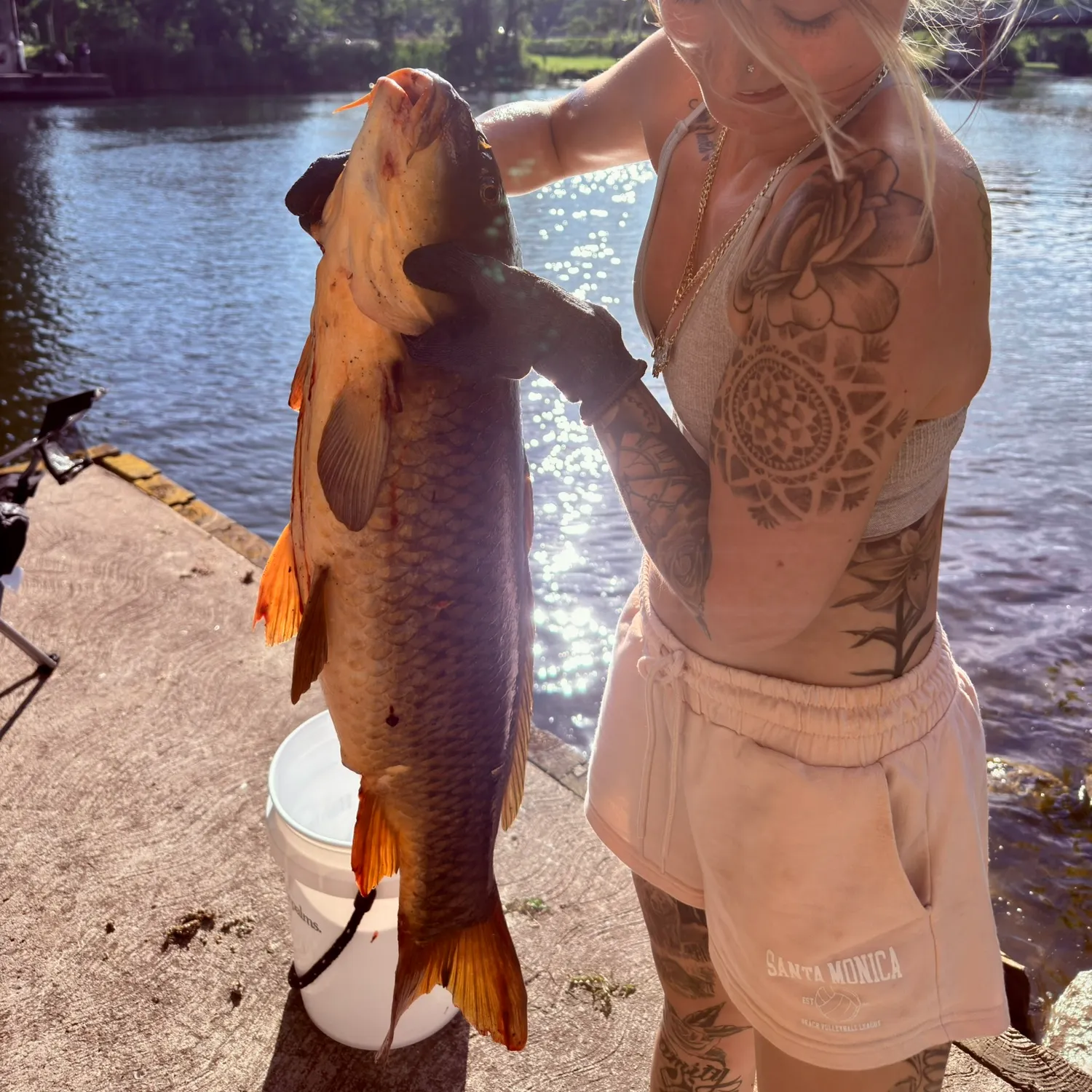 The most recent Koi x common carp catches on Fishbrain