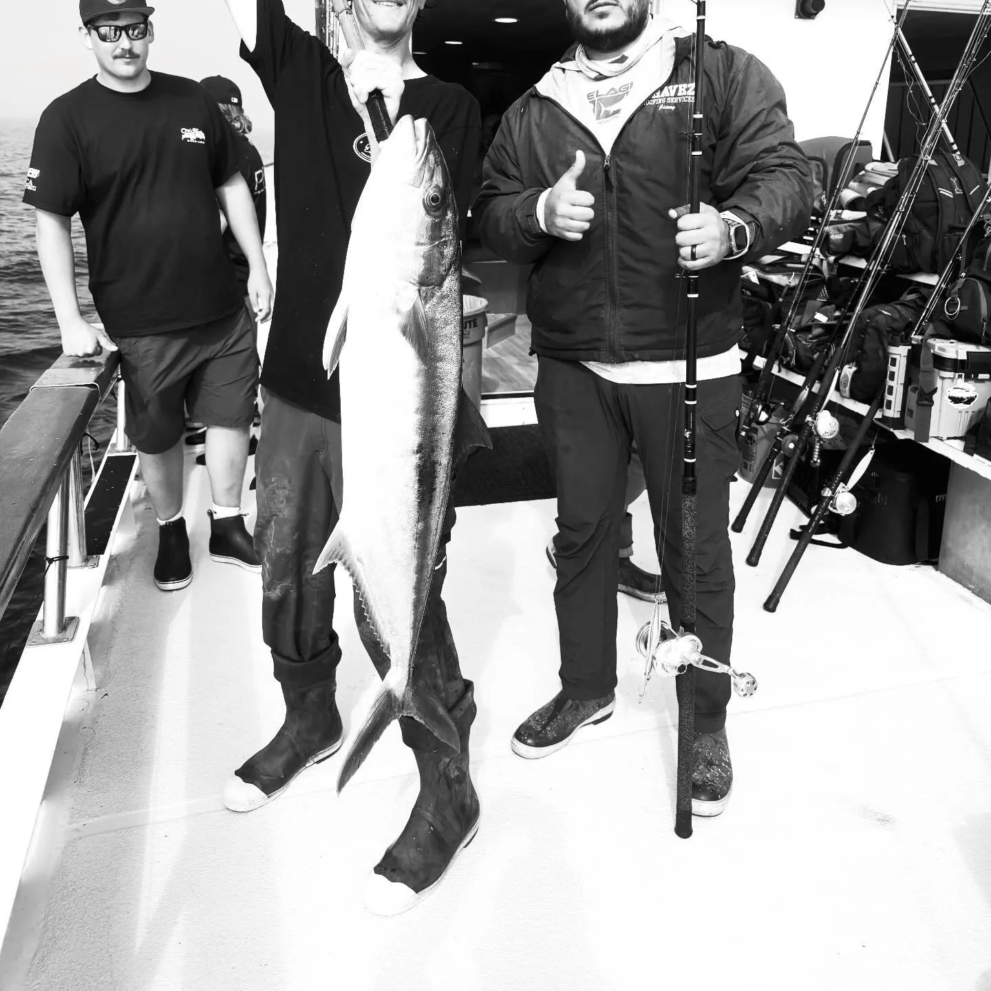 The most recent California yellowtail amberjack catches on Fishbrain