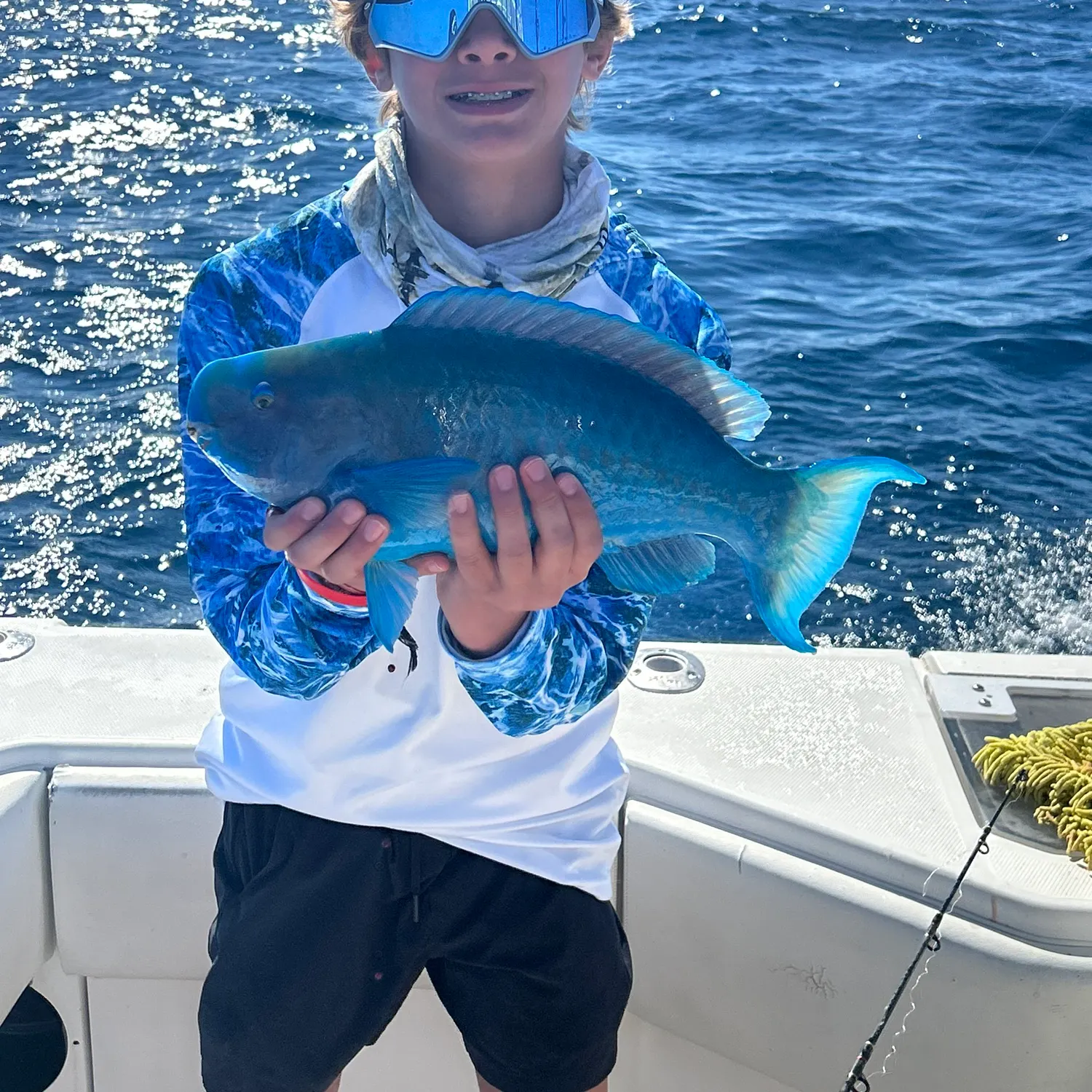 The most recent Blue parrotfish catches on Fishbrain