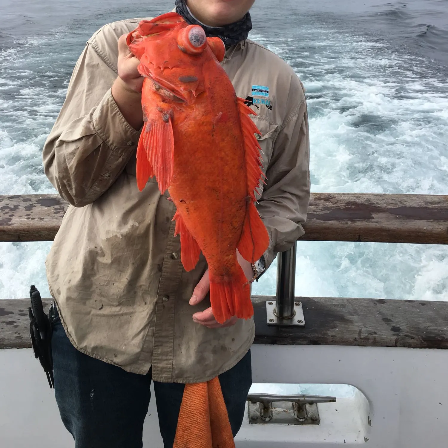 angler catch