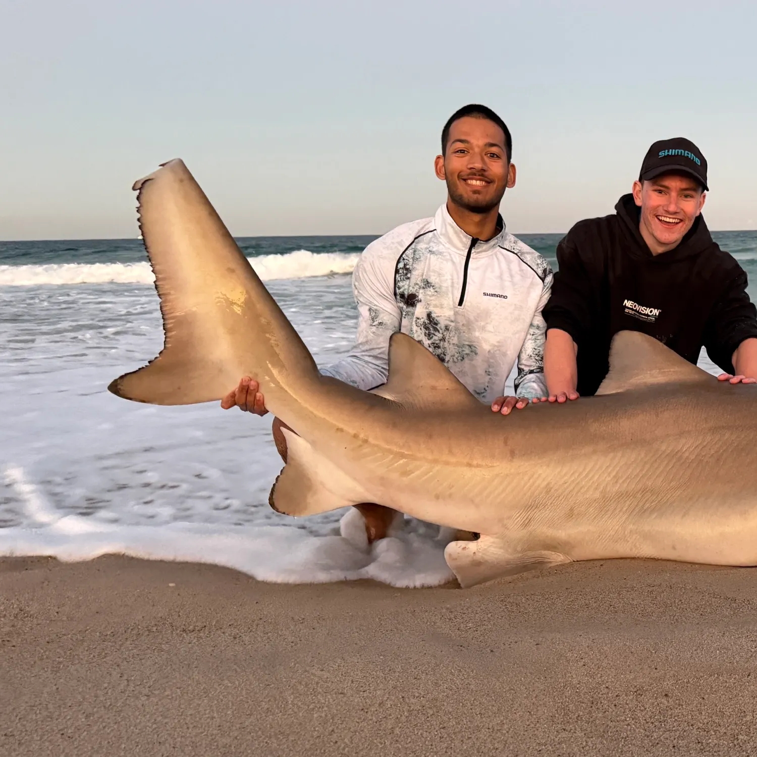 Sand tiger shark caught on Fishbrain