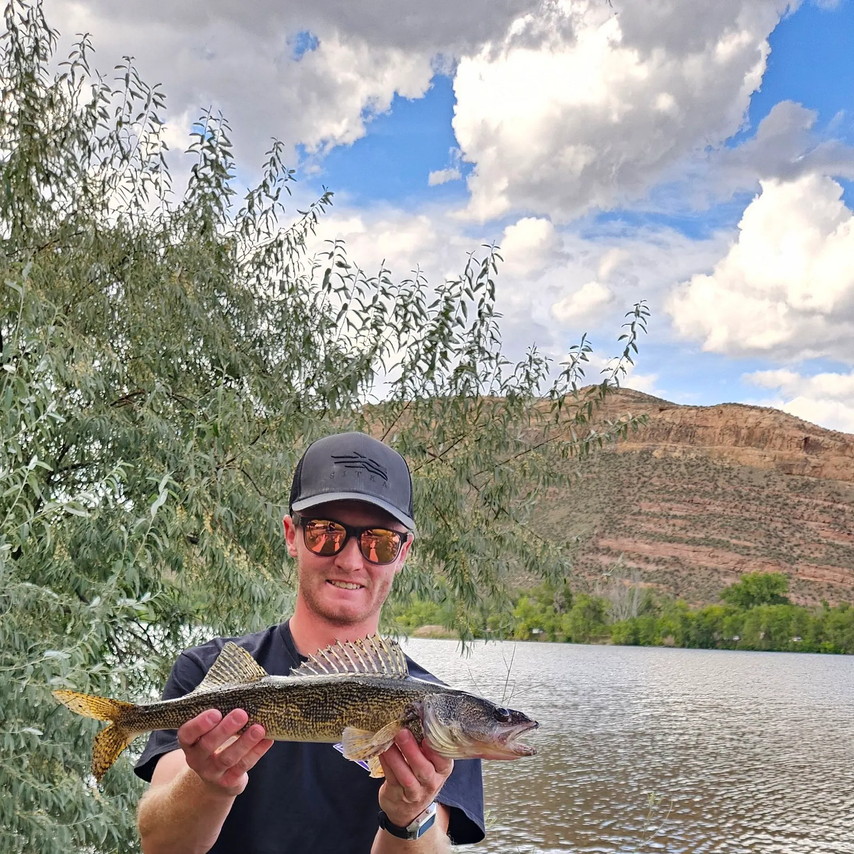 Saugeye caught on Fishbrain