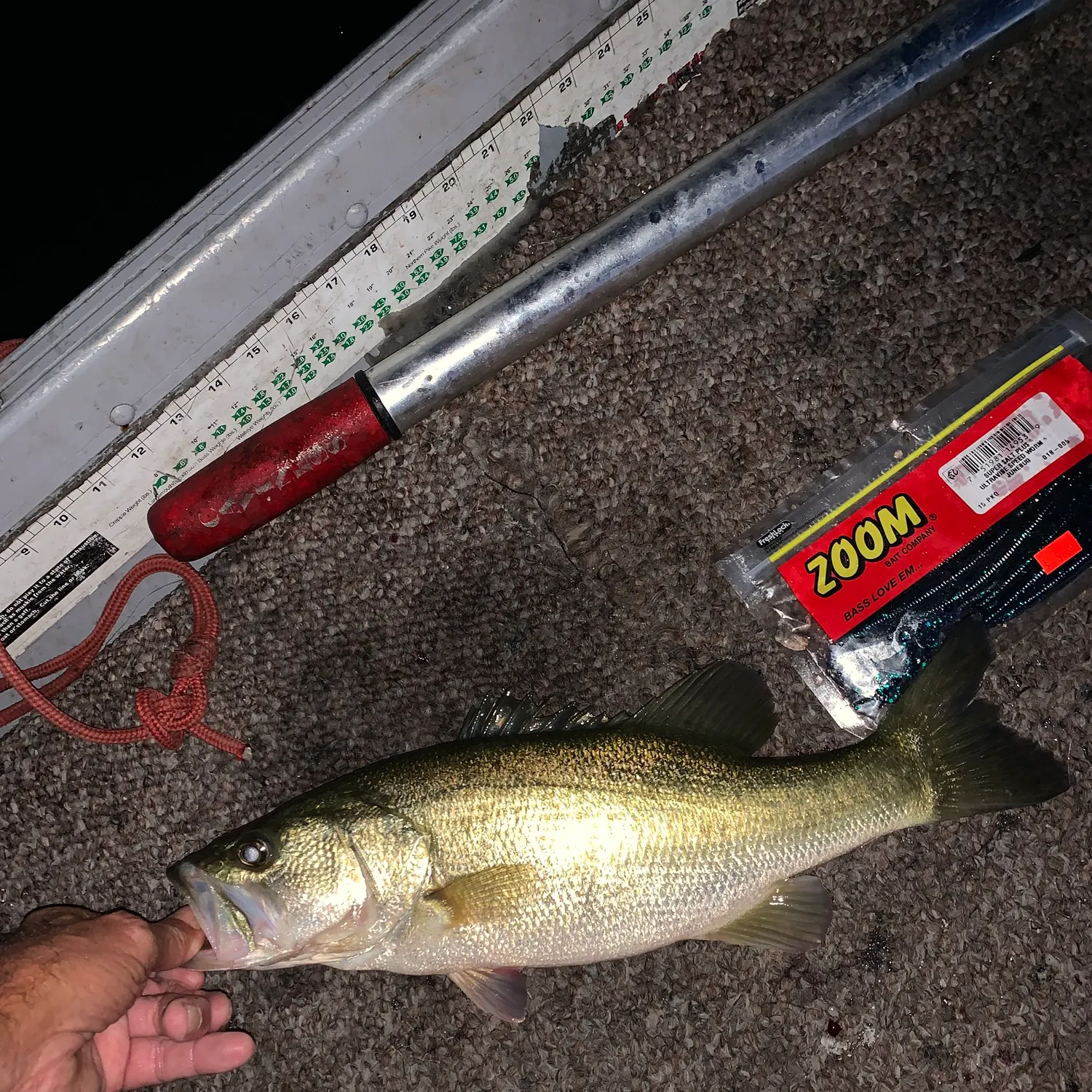 Largemouth bass caught on Fishbrain