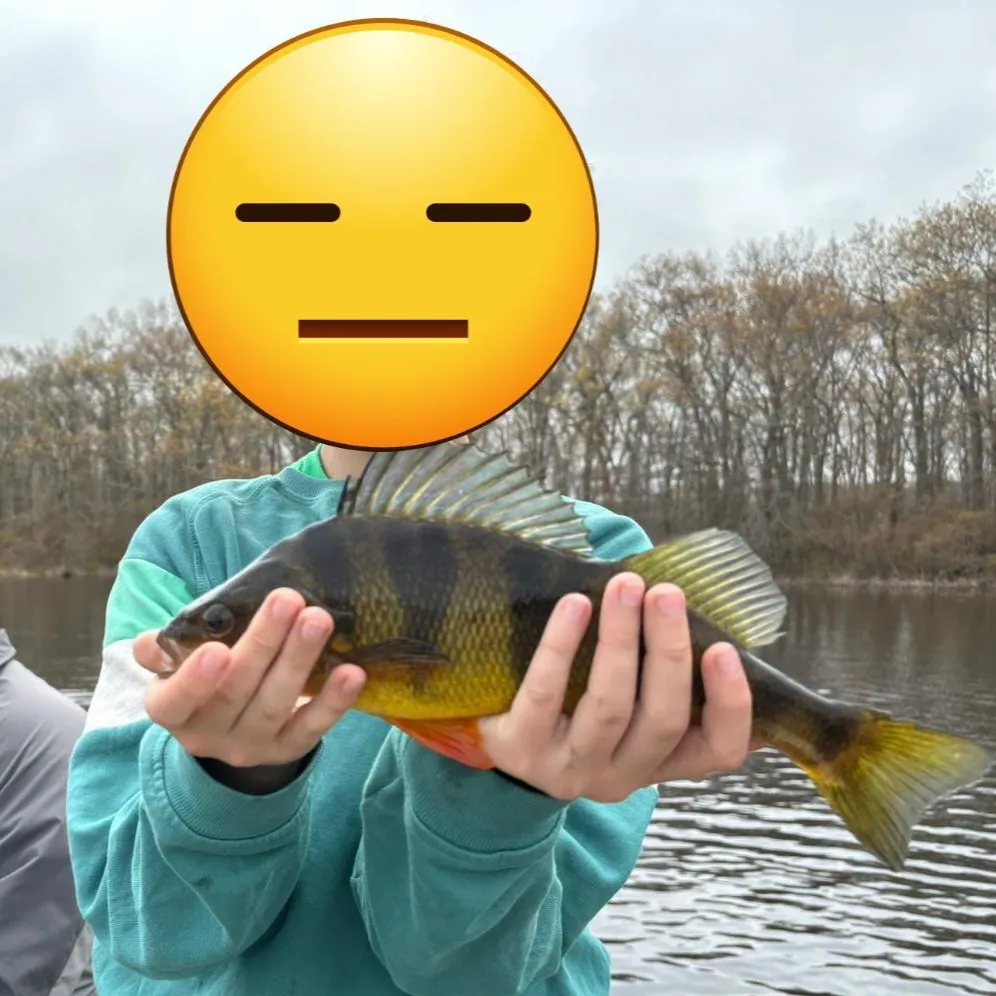 Fish caught on Fishbrain