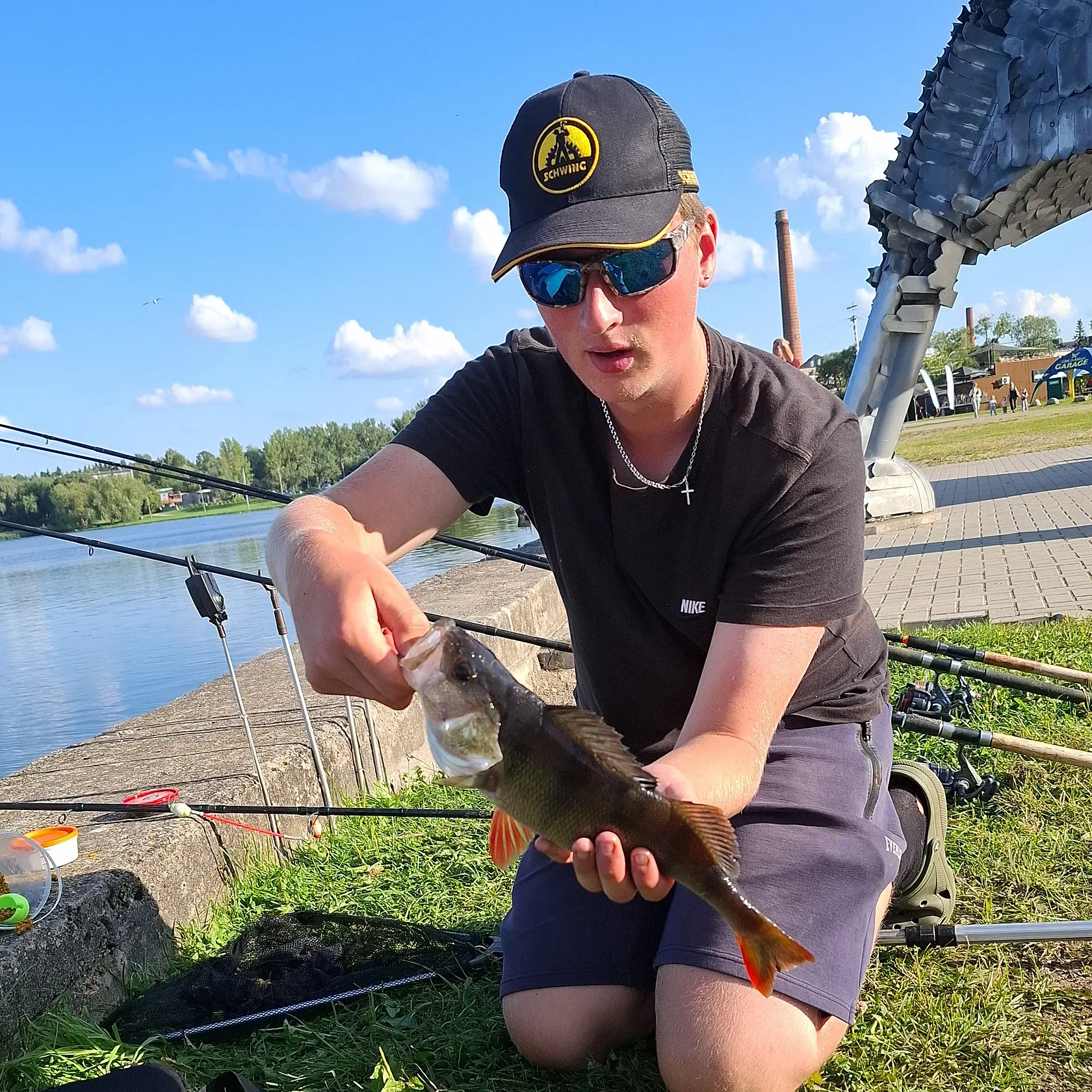 European perch caught on Fishbrain