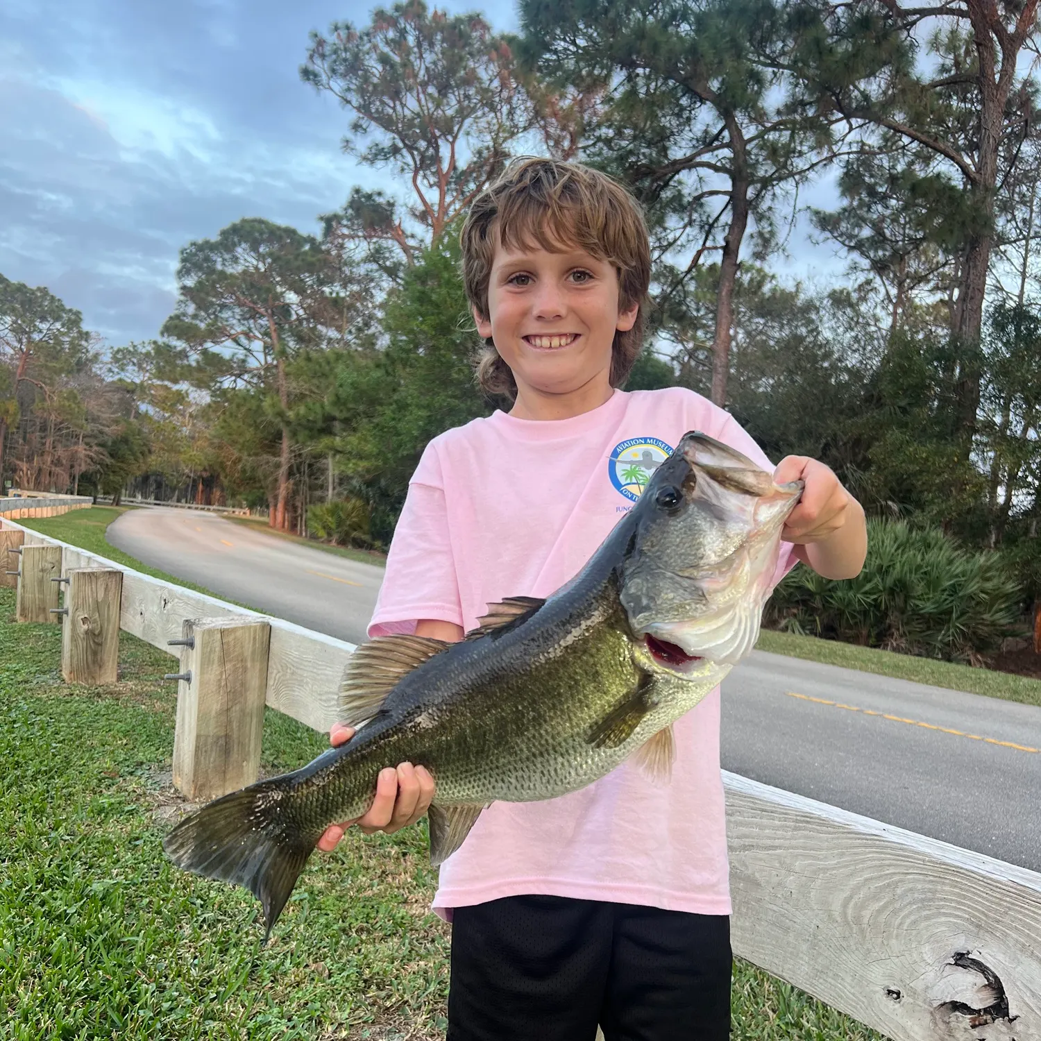 The most recent Largemouth bass catches on Fishbrain