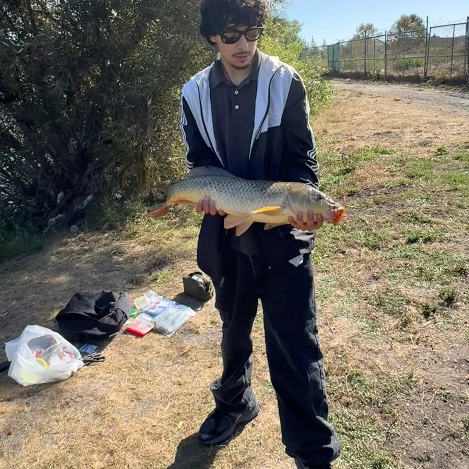Common carp caught on Fishbrain