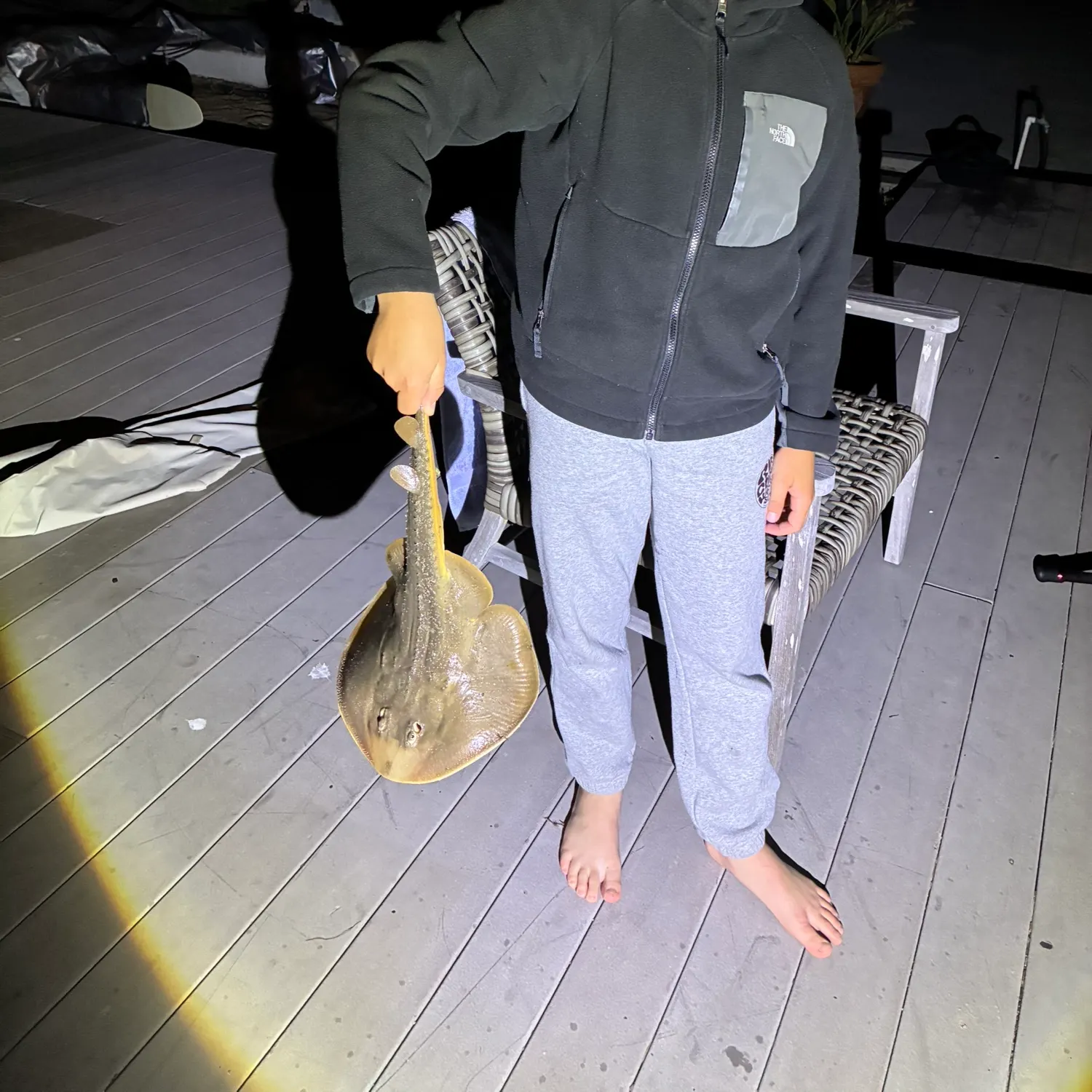 The most recent Starry ray catches on Fishbrain