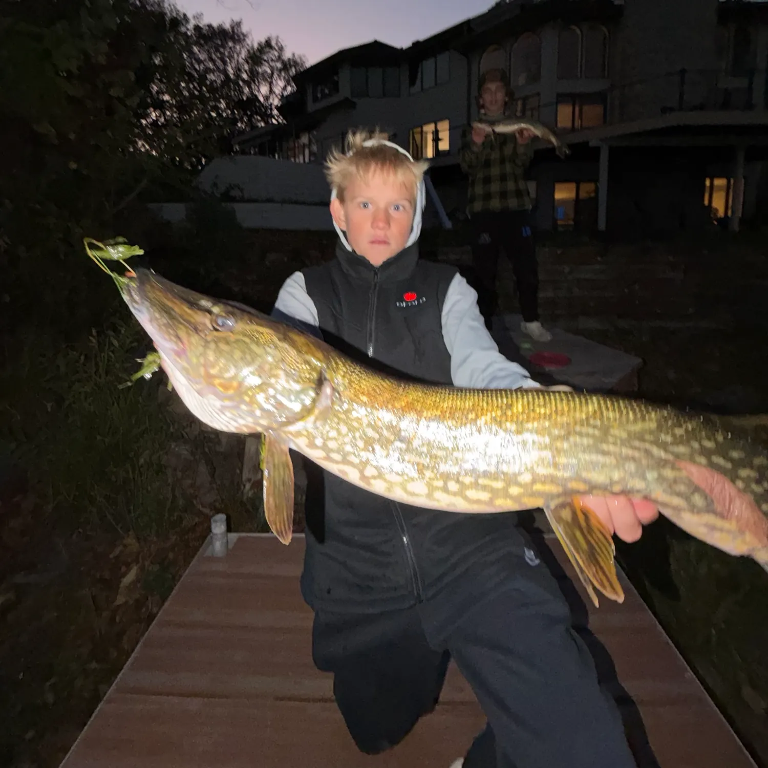 Northern pike caught on Fishbrain