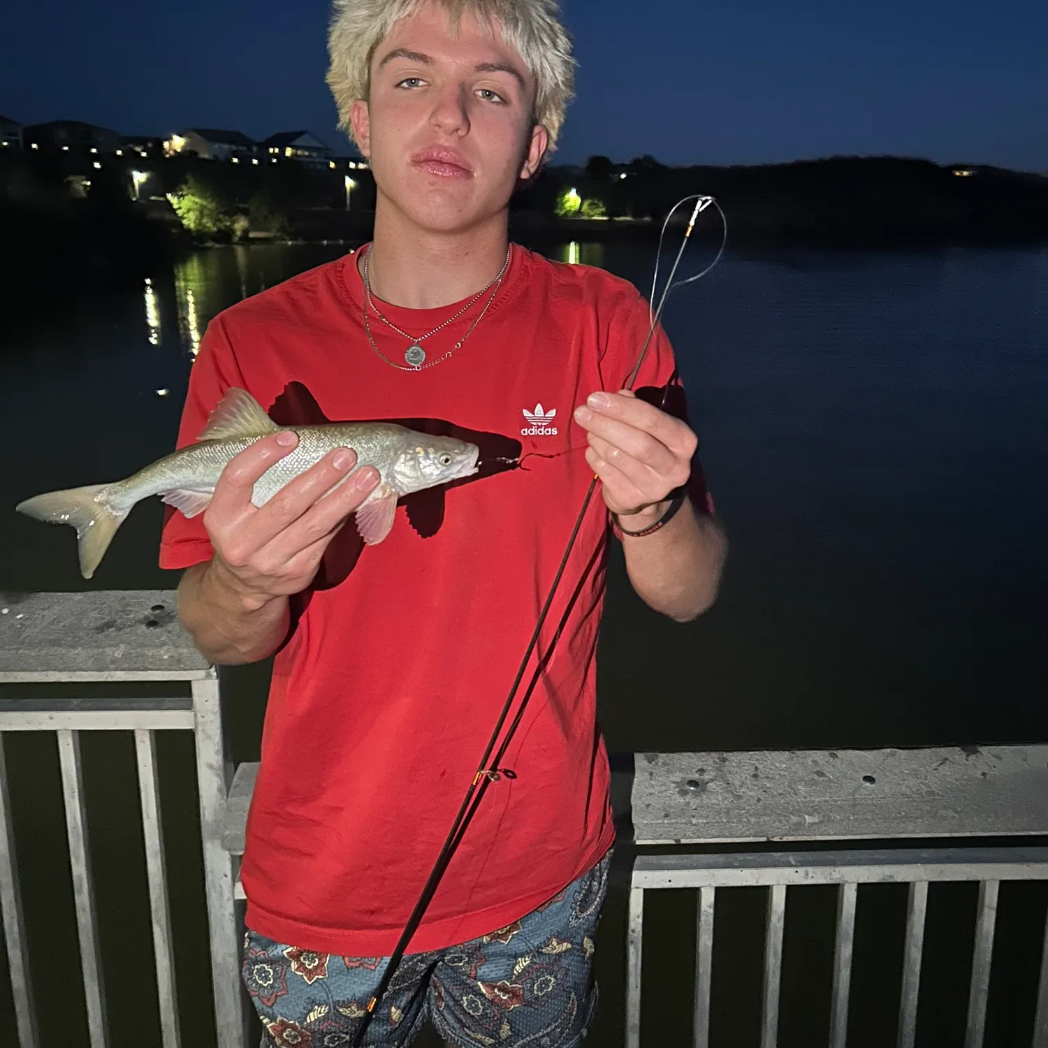 The most recent Virgin chub catches on Fishbrain