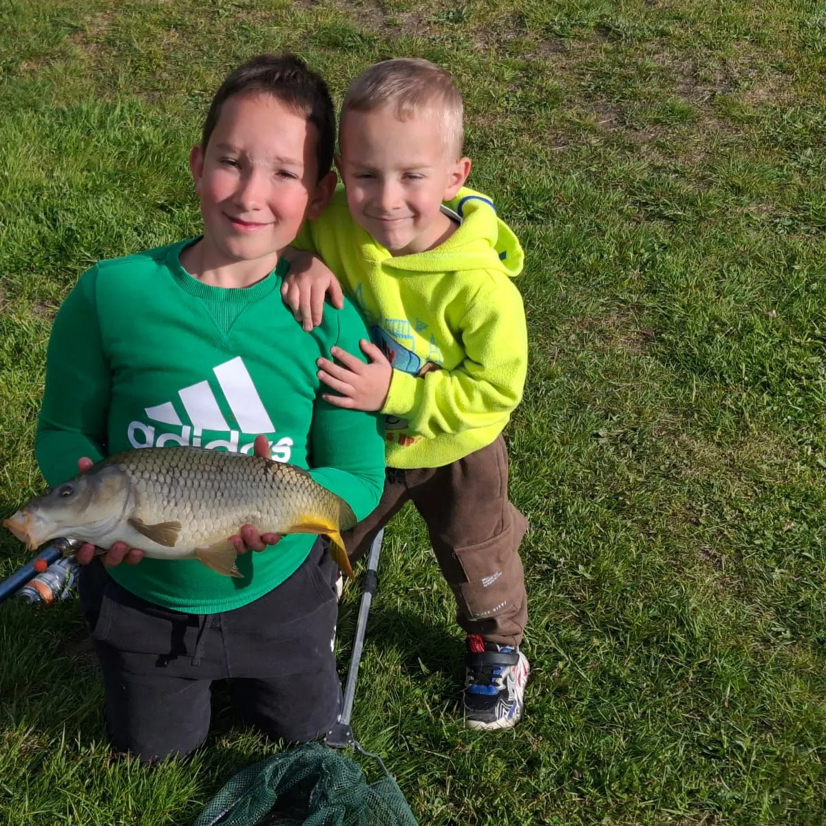 Common carp caught on Fishbrain
