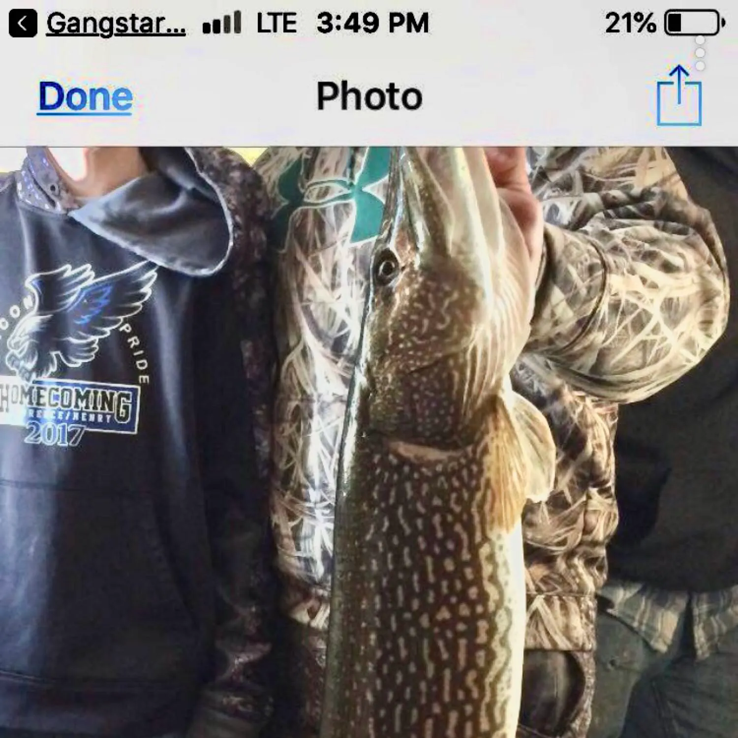 recently logged catches