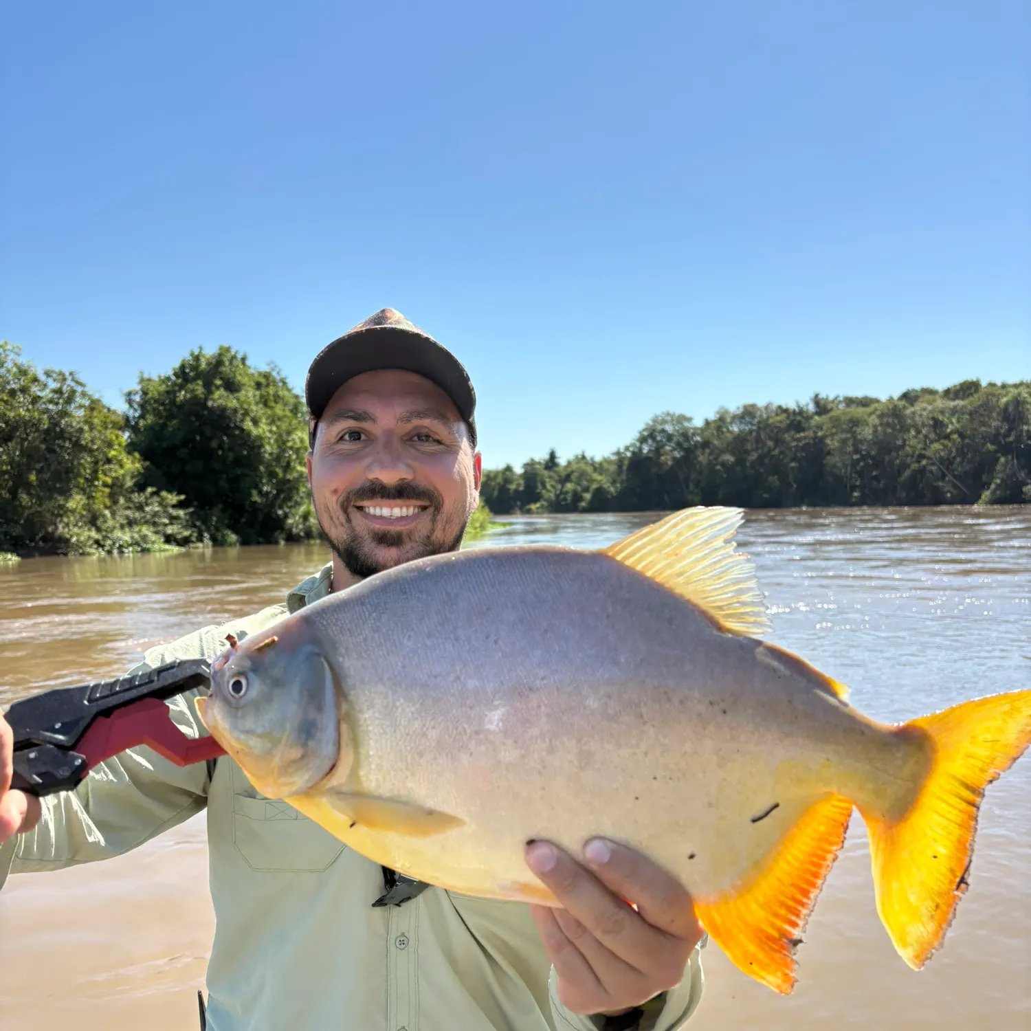 The most recent Small-scaled pacu catches on Fishbrain