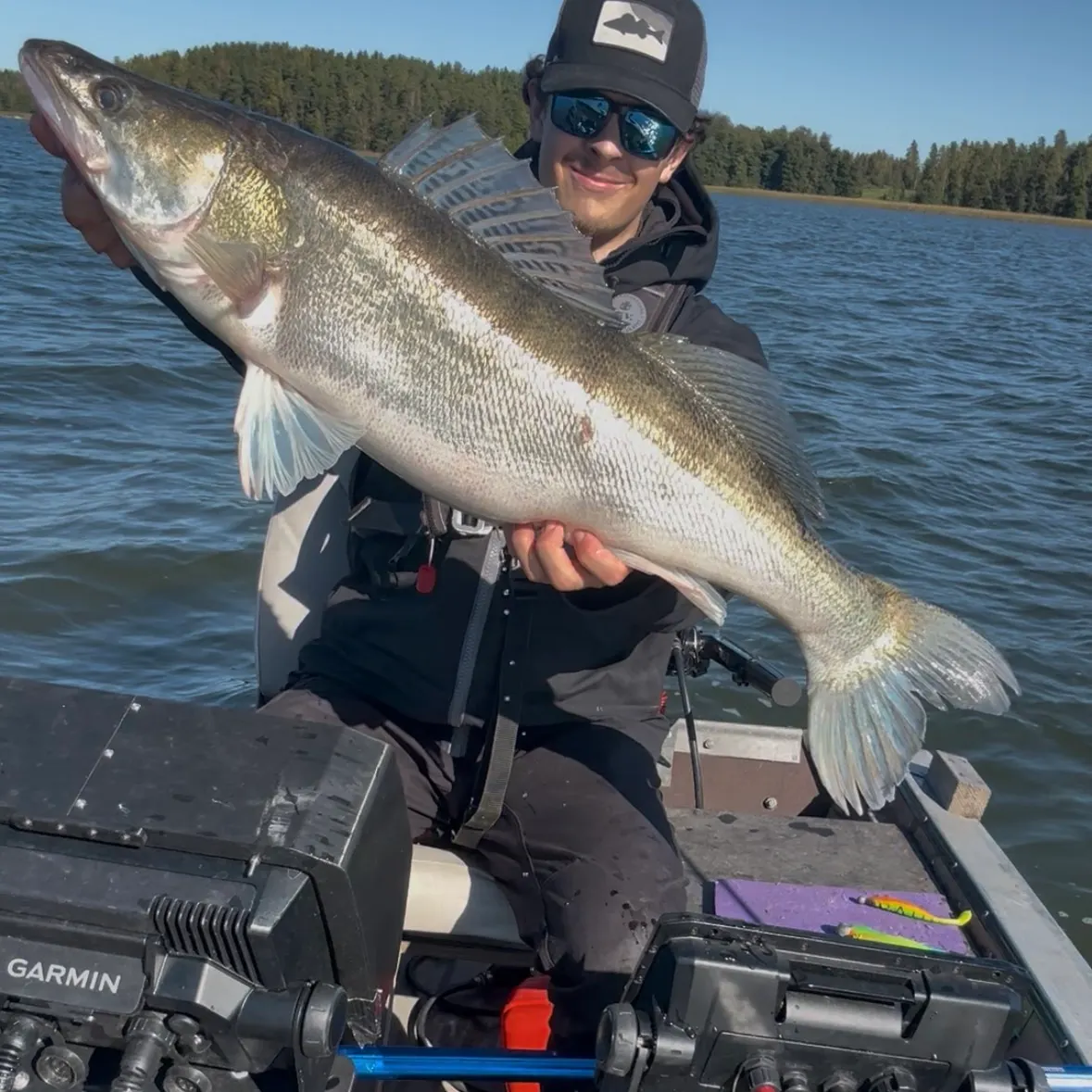 Zander caught on Fishbrain