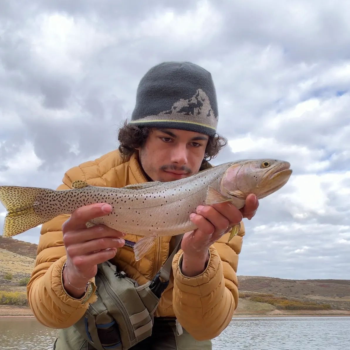 Cutthroat trout caught on Fishbrain